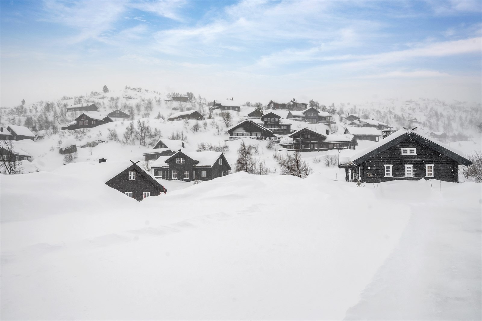 Fritidstomt Galleribilde