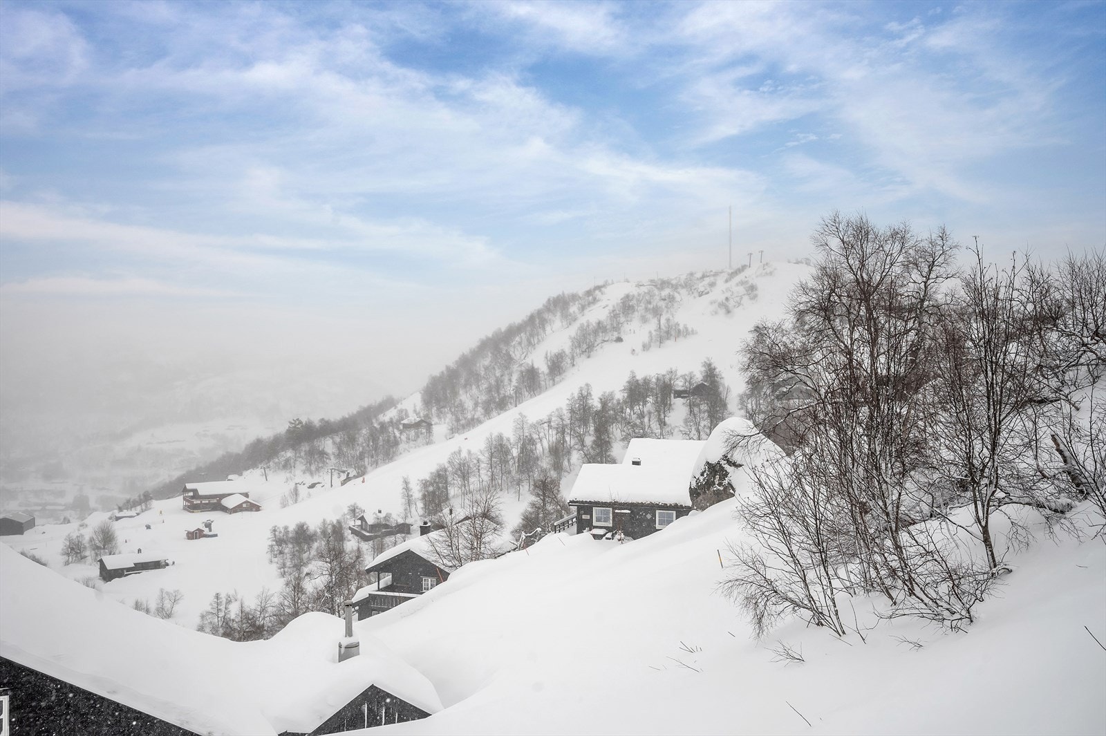 Fritidstomt Galleribilde