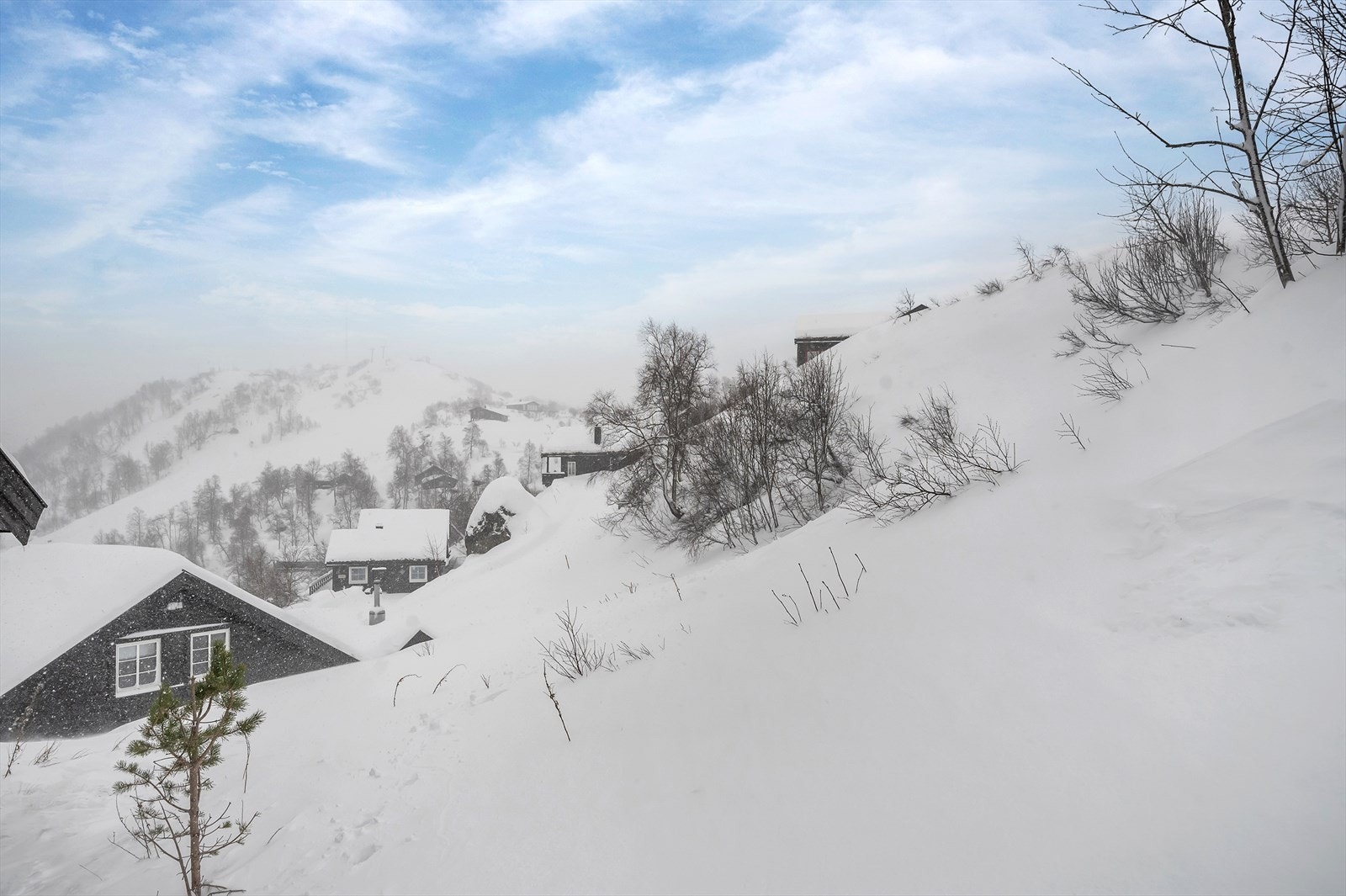 Fritidstomt Galleribilde