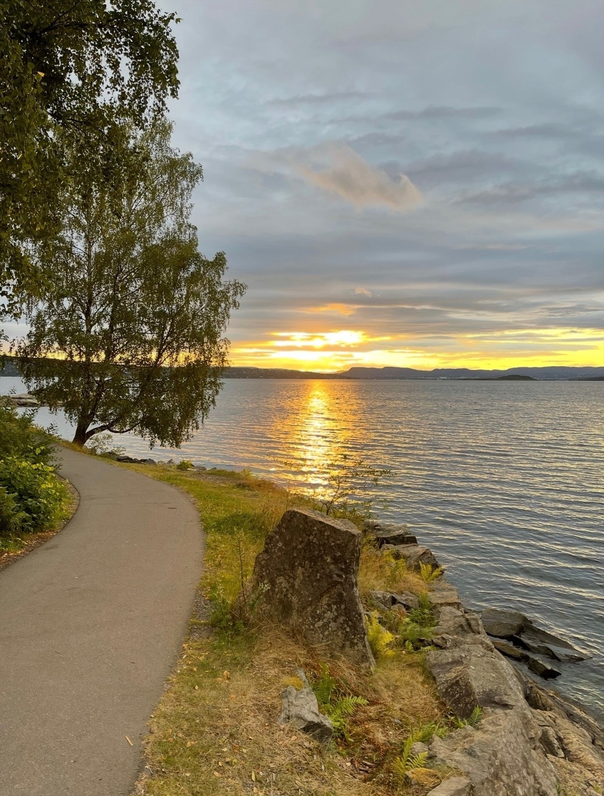 Nærområdet Galleribilde