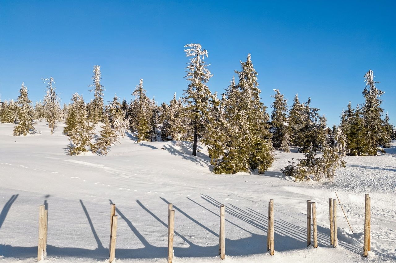 Tomten er romslig og solrik. Galleribilde