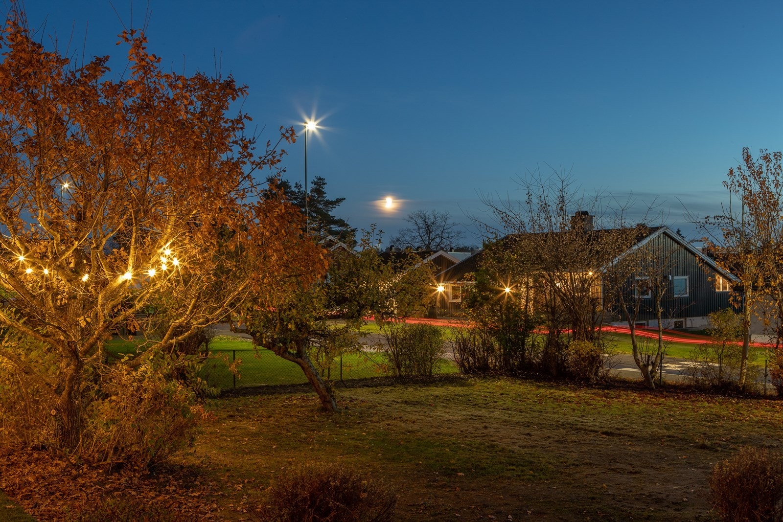 Tomten er opparbeidet med grønn hageplen, busker, hekk, trær og frukttrær. Galleribilde
