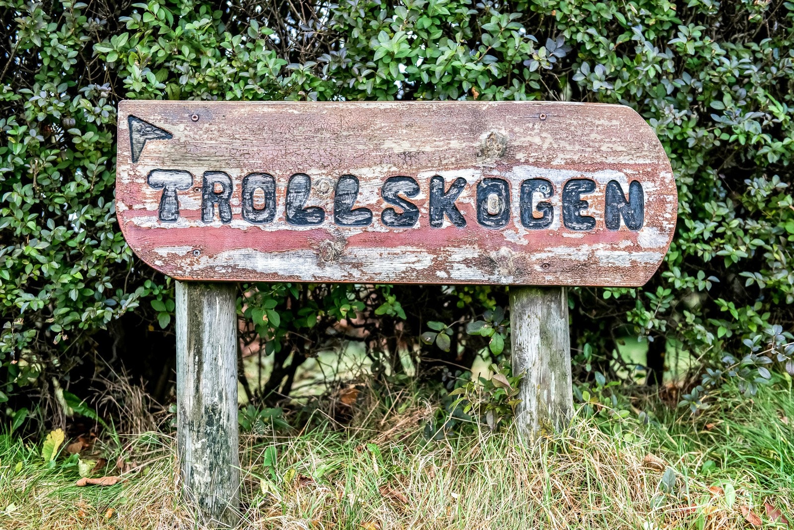 Nærområdet. Galleribilde
