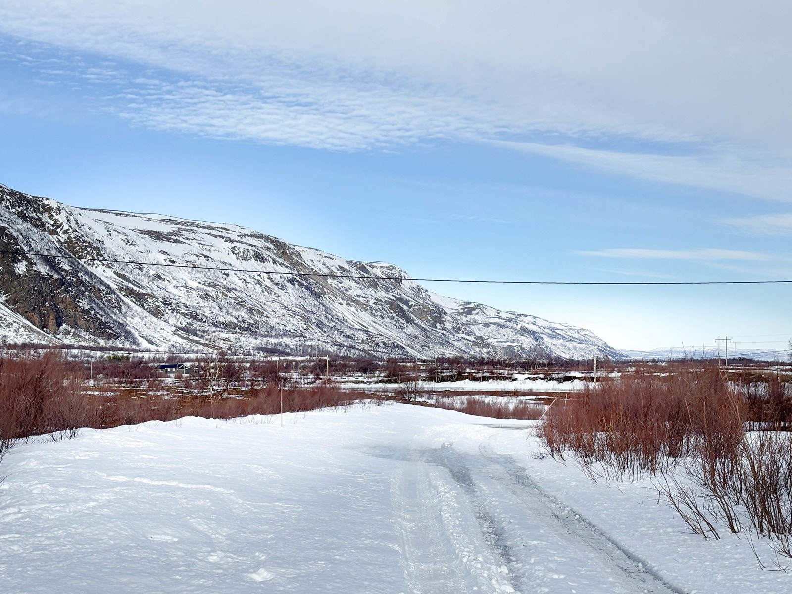 Tomten sett mot nordvest, tatt på veien Hamentniemi Galleribilde