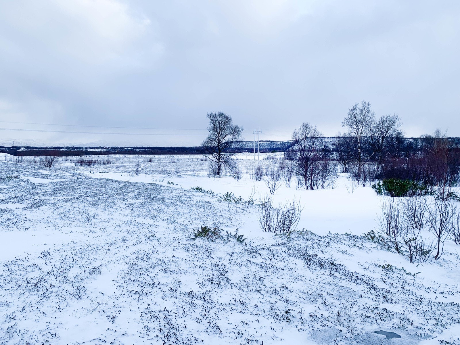 Bildet er tatt i retning øst sett mot Klemetstad Galleribilde