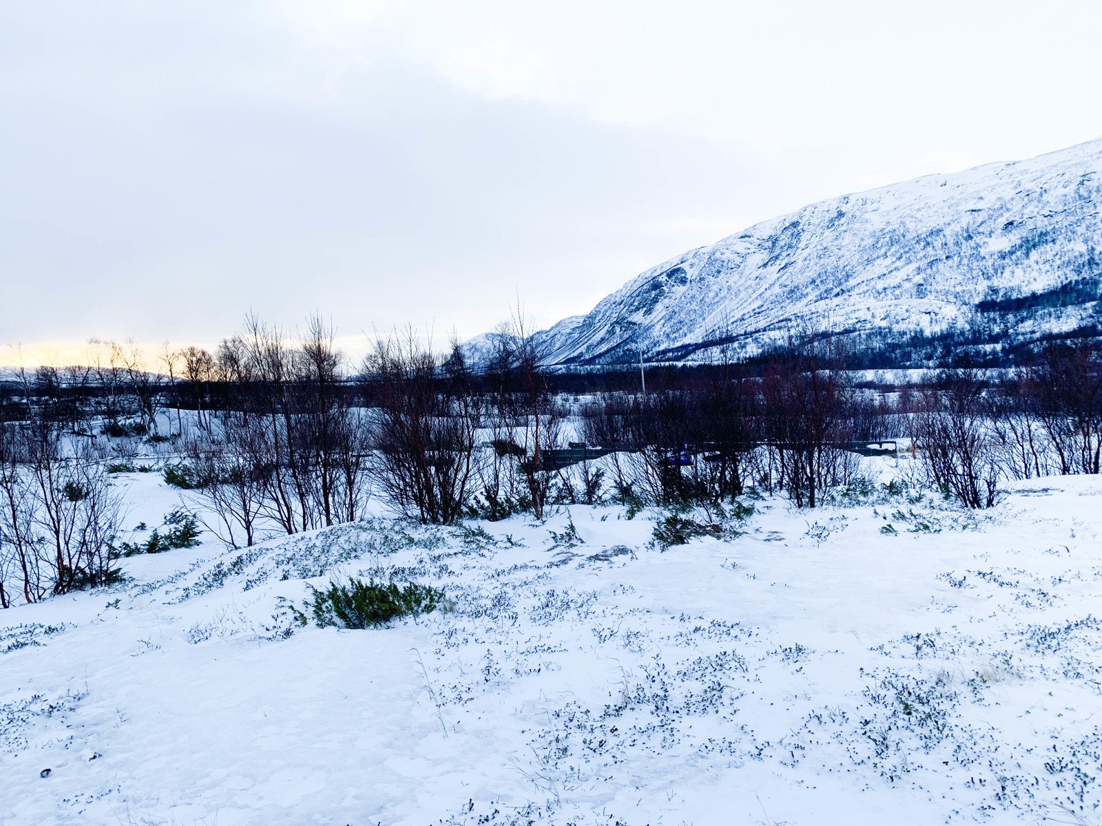Bilde tatt mot sørvest Galleribilde