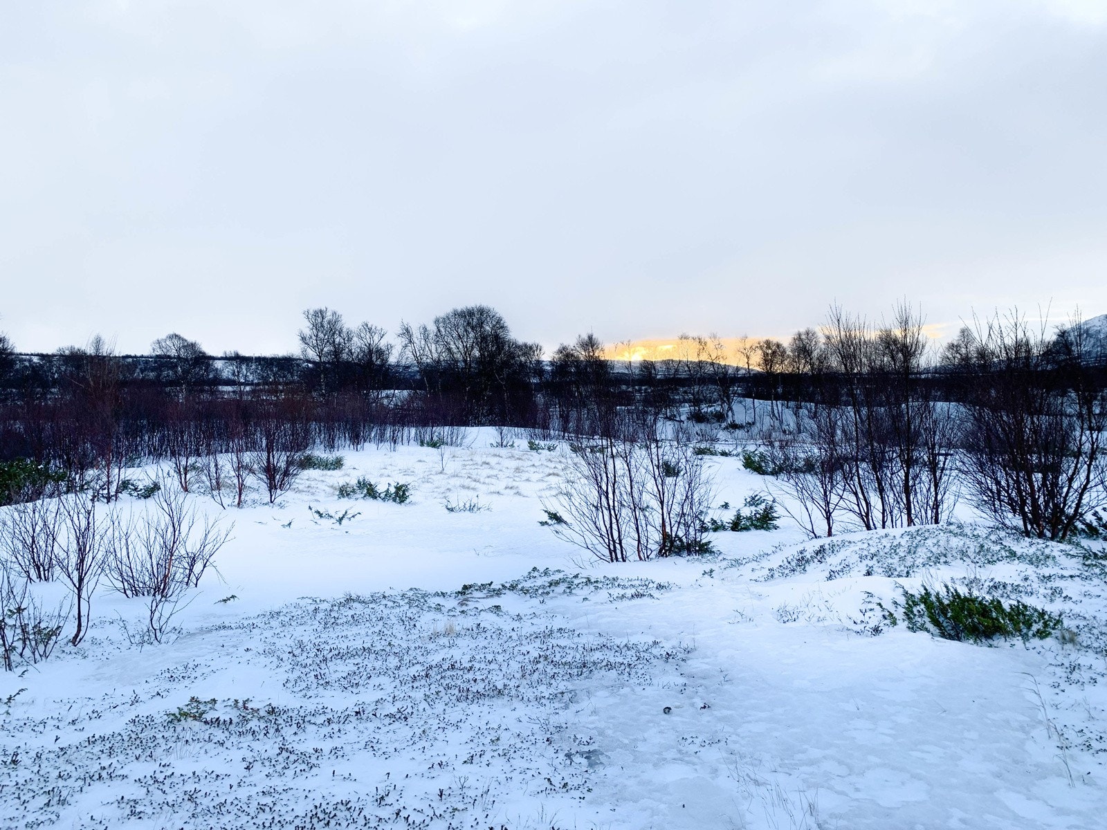Gammel grunnmur som er på eiendommen sett mot sør Galleribilde