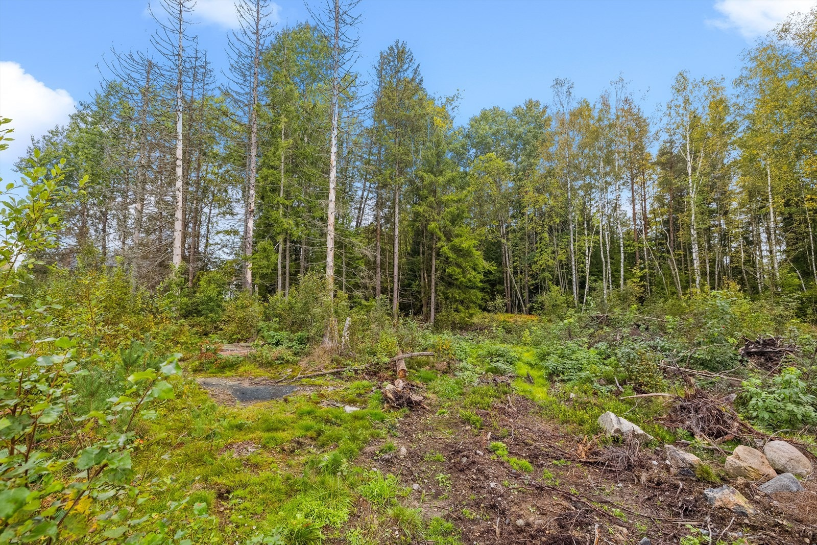 Kjøper av tomten er selv ansvarlig for tilknytningsavgiftene. Se punktet "Info kommunale avgifter" i salgsoppgaven for mer informasjon. Galleribilde