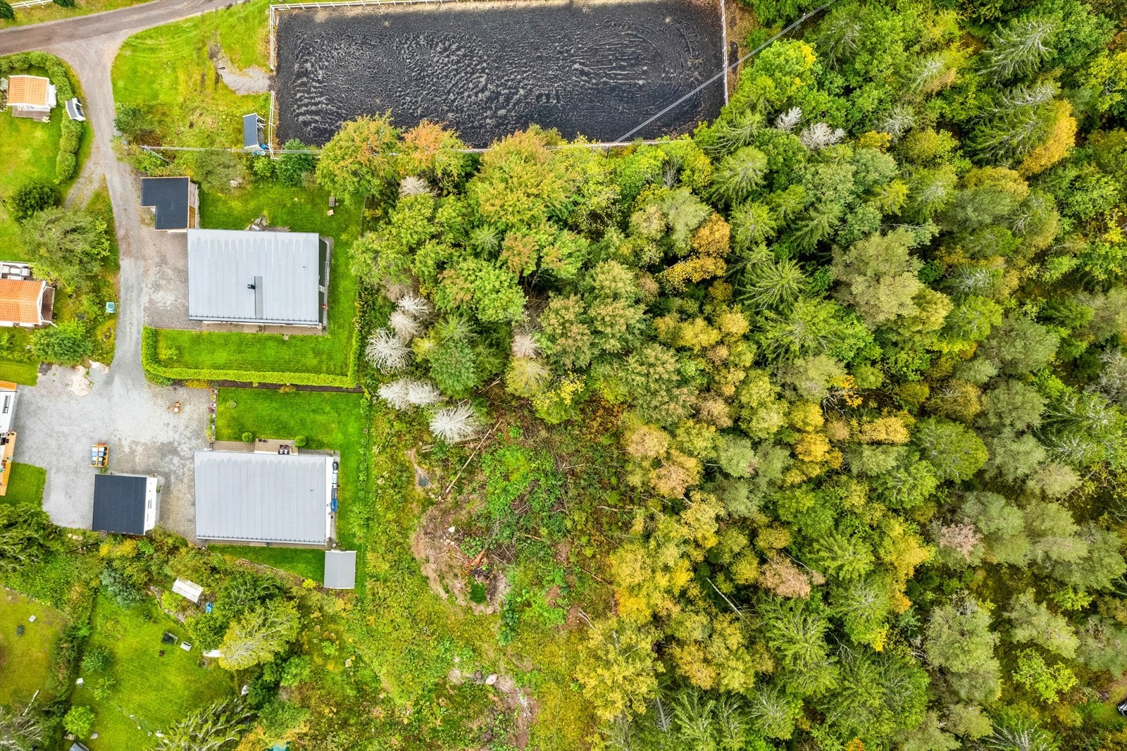 Tomten er registrert bestående av 0,8 dekar produktiv skog. Galleribilde