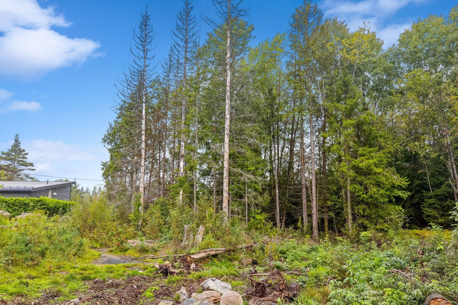 Vann, vei og avløp er under opparbeiding. Galleribilde