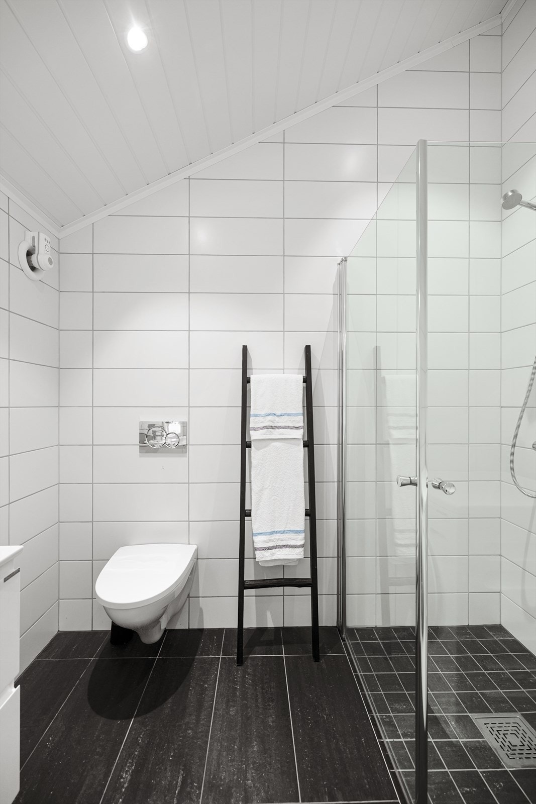 Videre er det en deilig dusjssone og vegghengt toalett Galleribilde