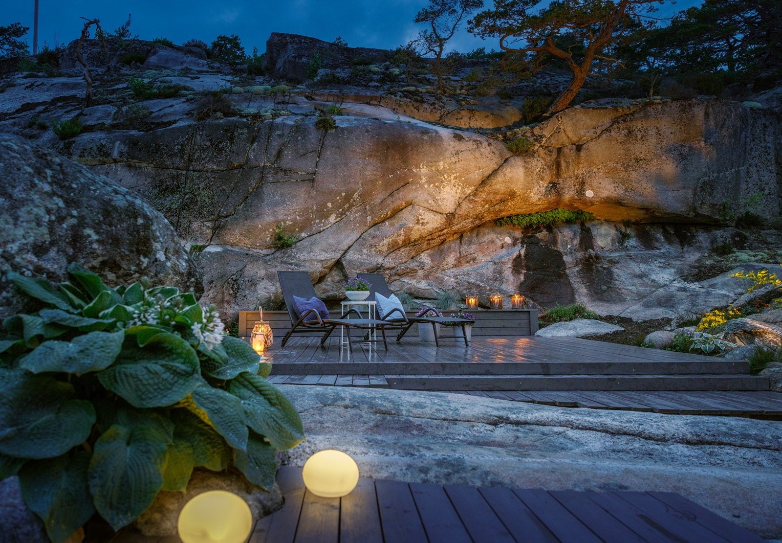 Nedenfor hviler skogen, og det er aldri mangel på sol. Galleribilde