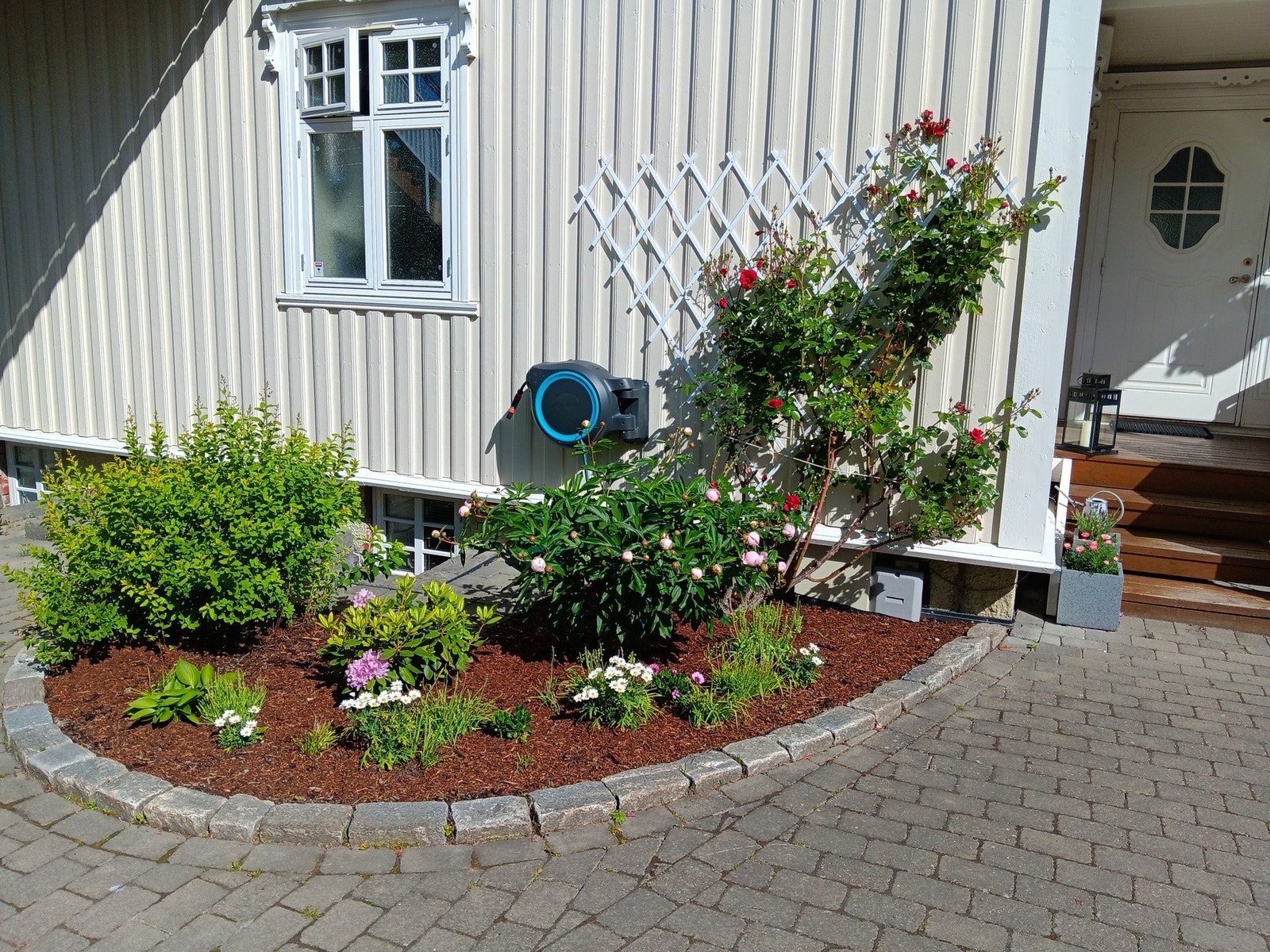 Flotte detaljer (selger segne bilder) Galleribilde