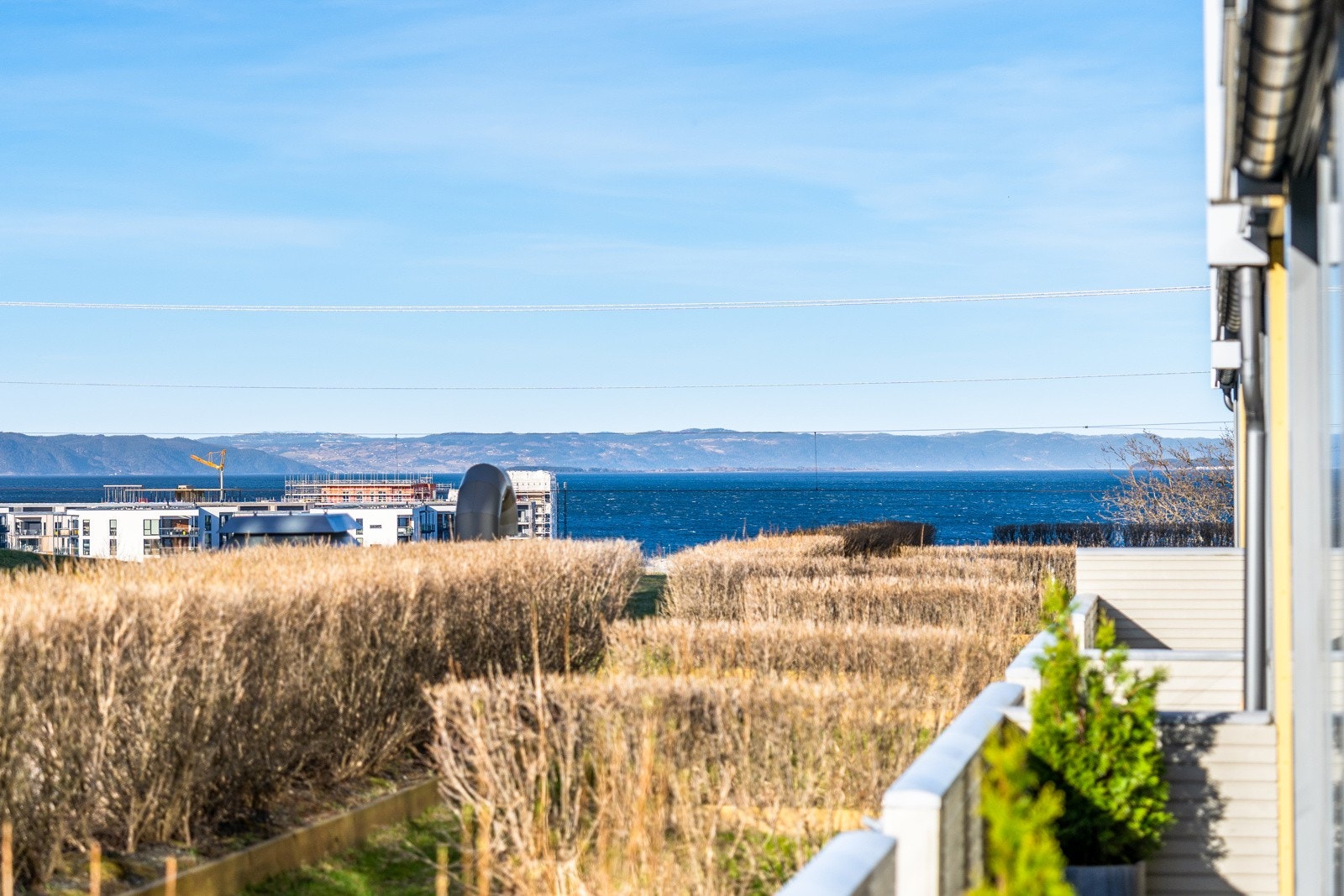 Flott utsikt ned mot fjorden. Galleribilde