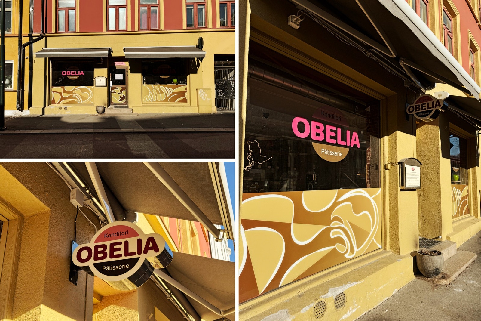 Nærområdet - Obelia med fantastiske bakevarer. Galleribilde