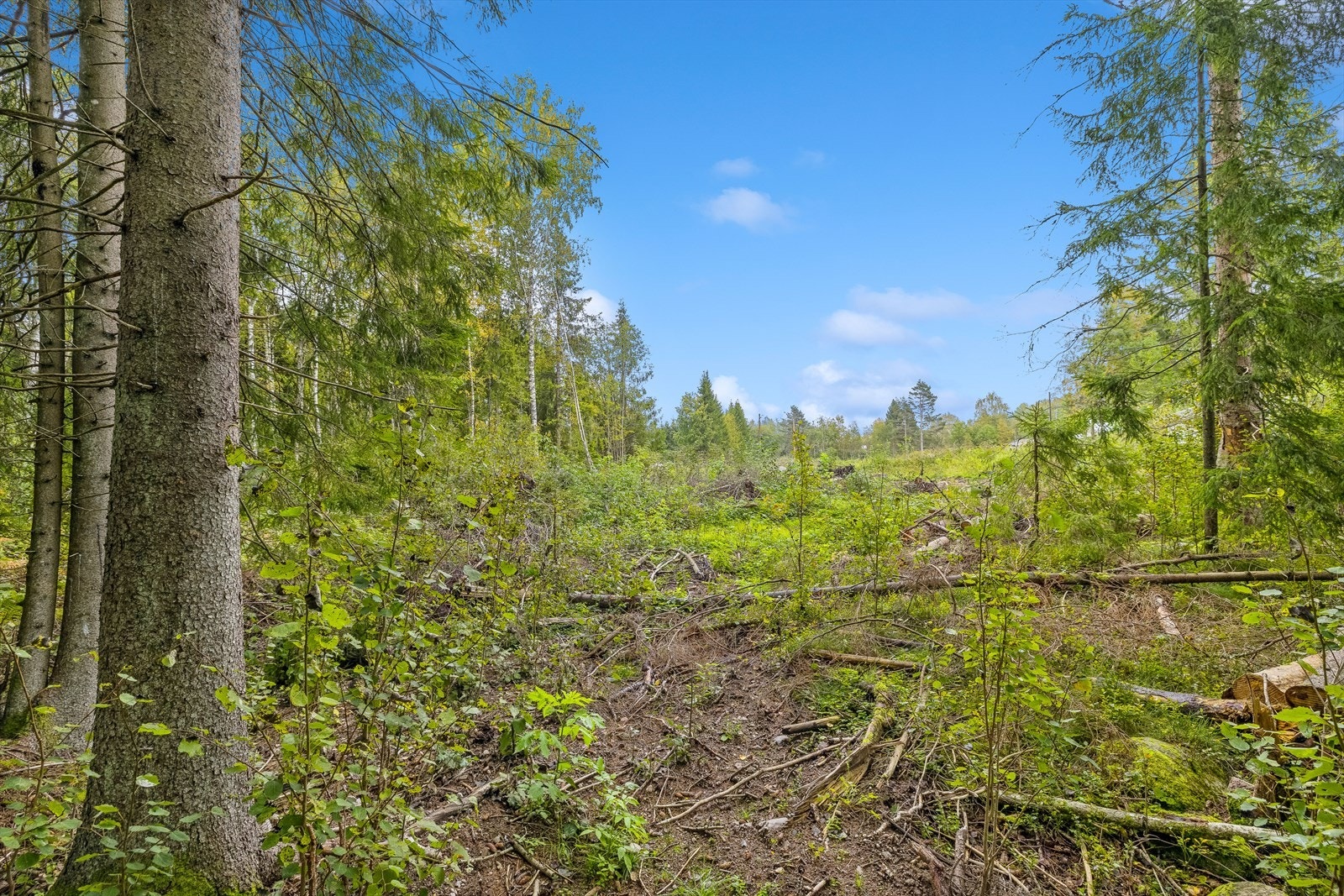 Det foreligger igangsettingstillatelse for bygging av enebolig på naboeiendommene Bentsebingen 20, Bentsebingen 22 og Bentsebingen 17, 19 og 21. Galleribilde