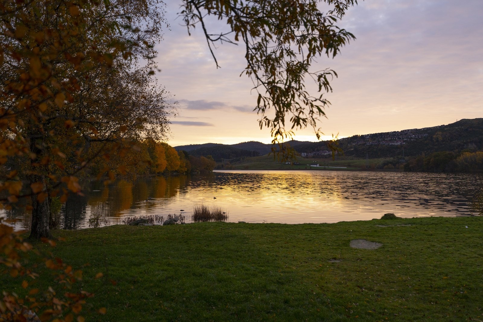 Stokkelandsvannet Galleribilde