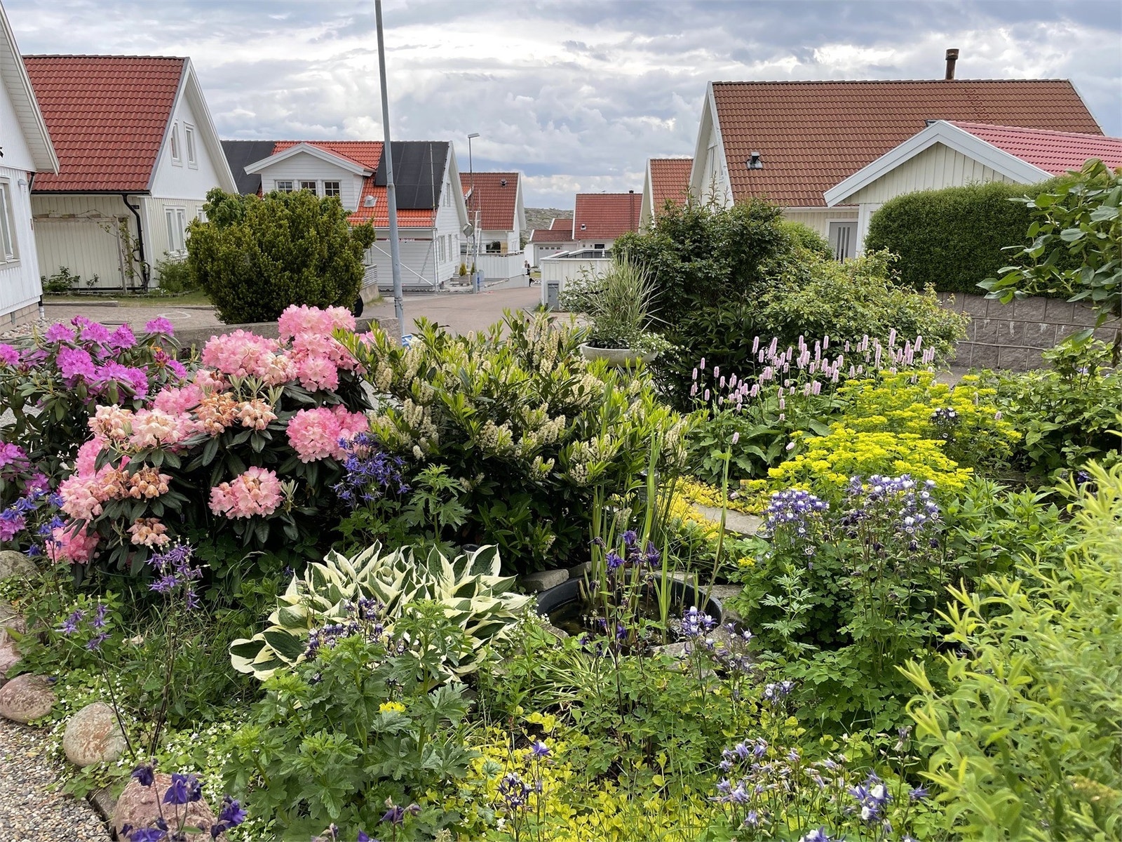 Säljarens sommarbild Galleribilde