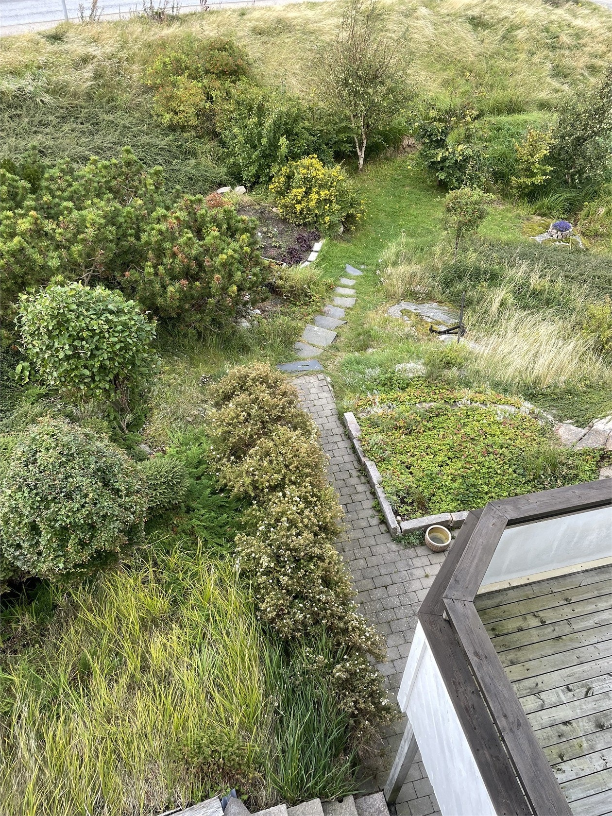 Lummig gång från Björkemyrsgatan Galleribilde