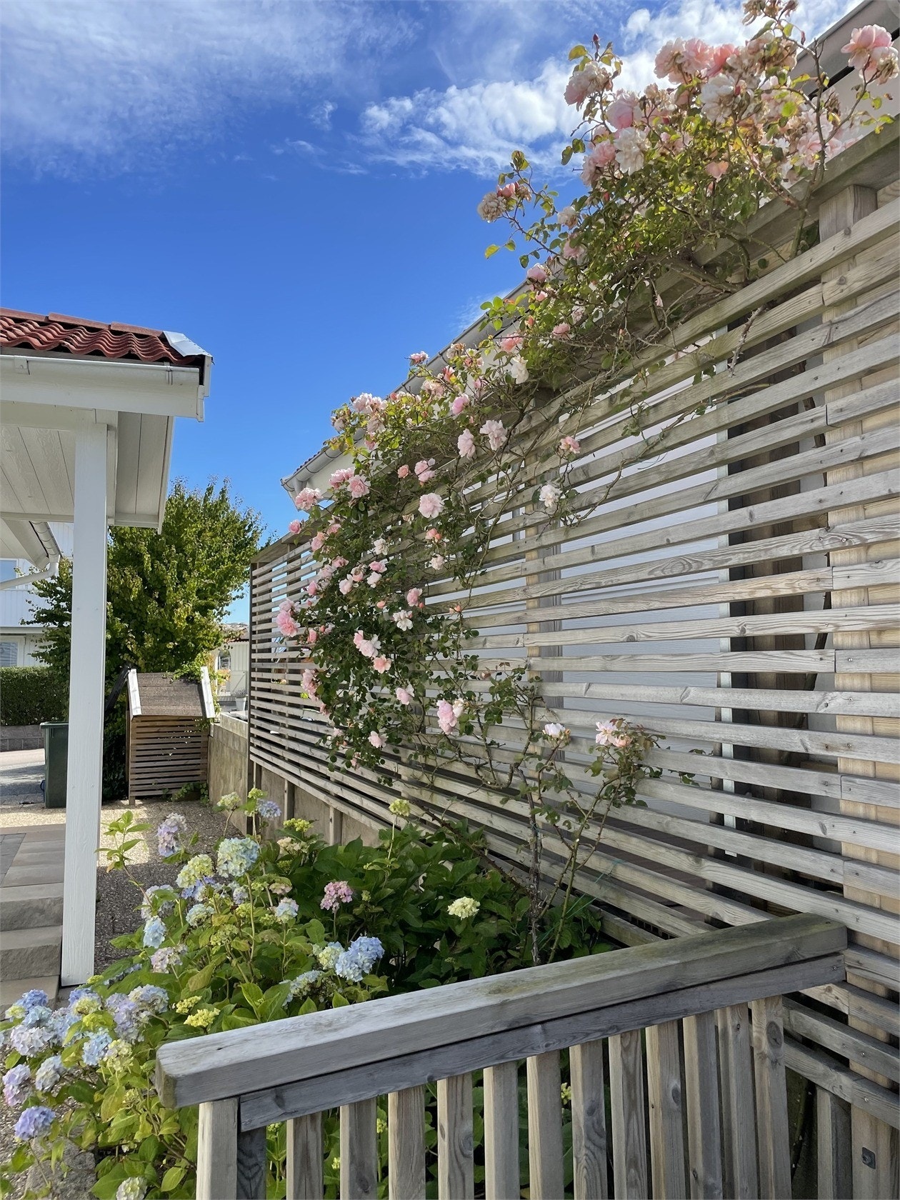 Säljarens sommarbild Galleribilde