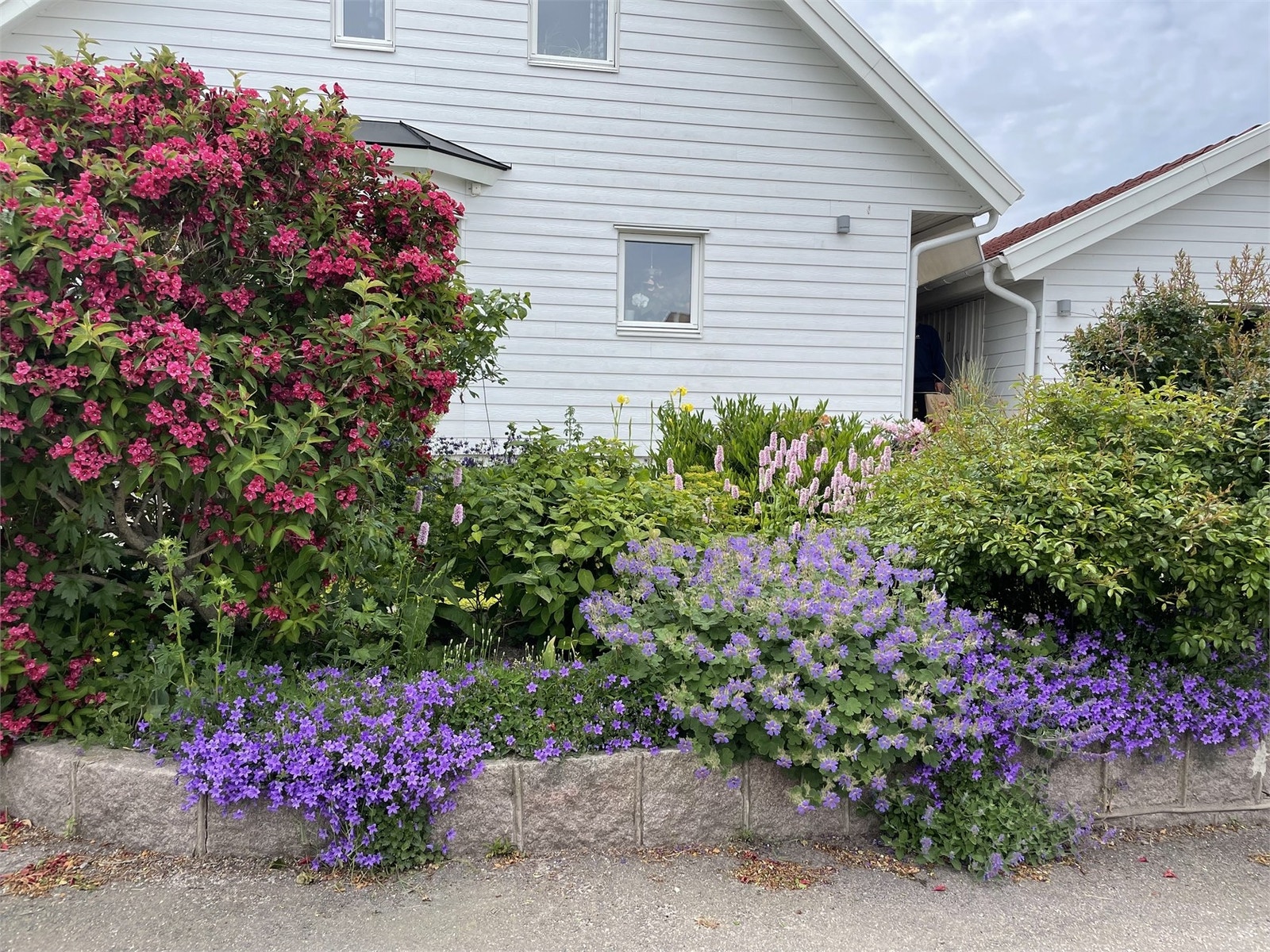Säljarens sommarbild Galleribilde