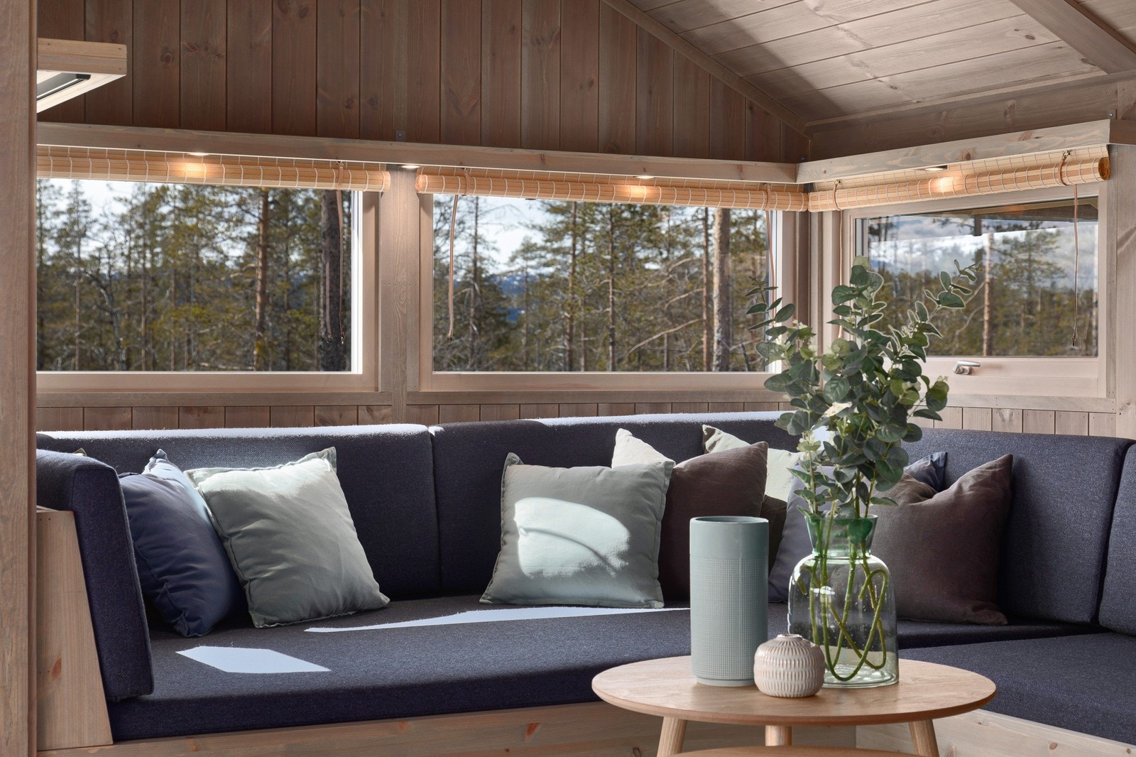 Karnapp
Illustrasjonsbilde Galleribilde