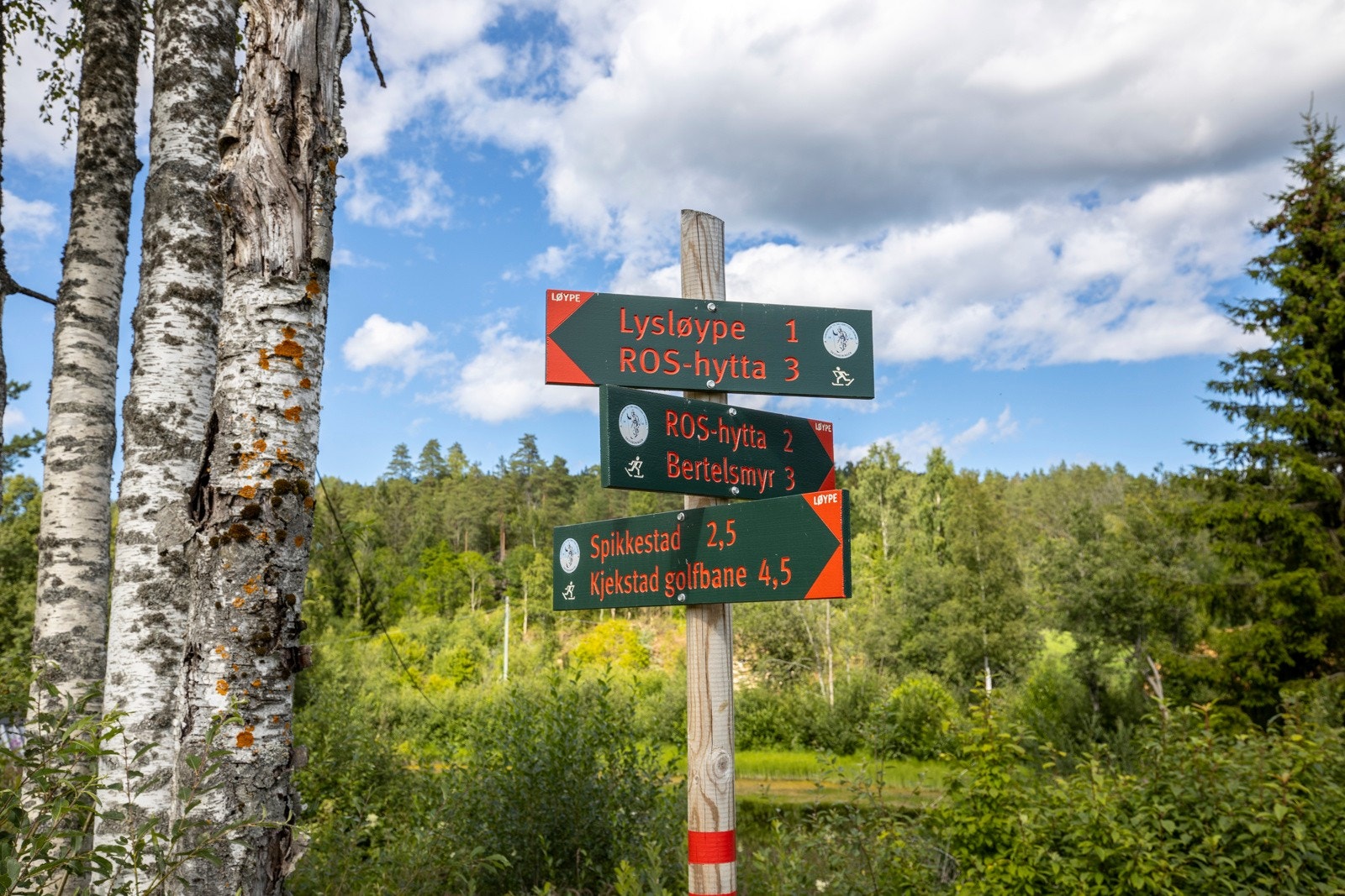 Vakre skogsstier for den eventyrlystne. Galleribilde