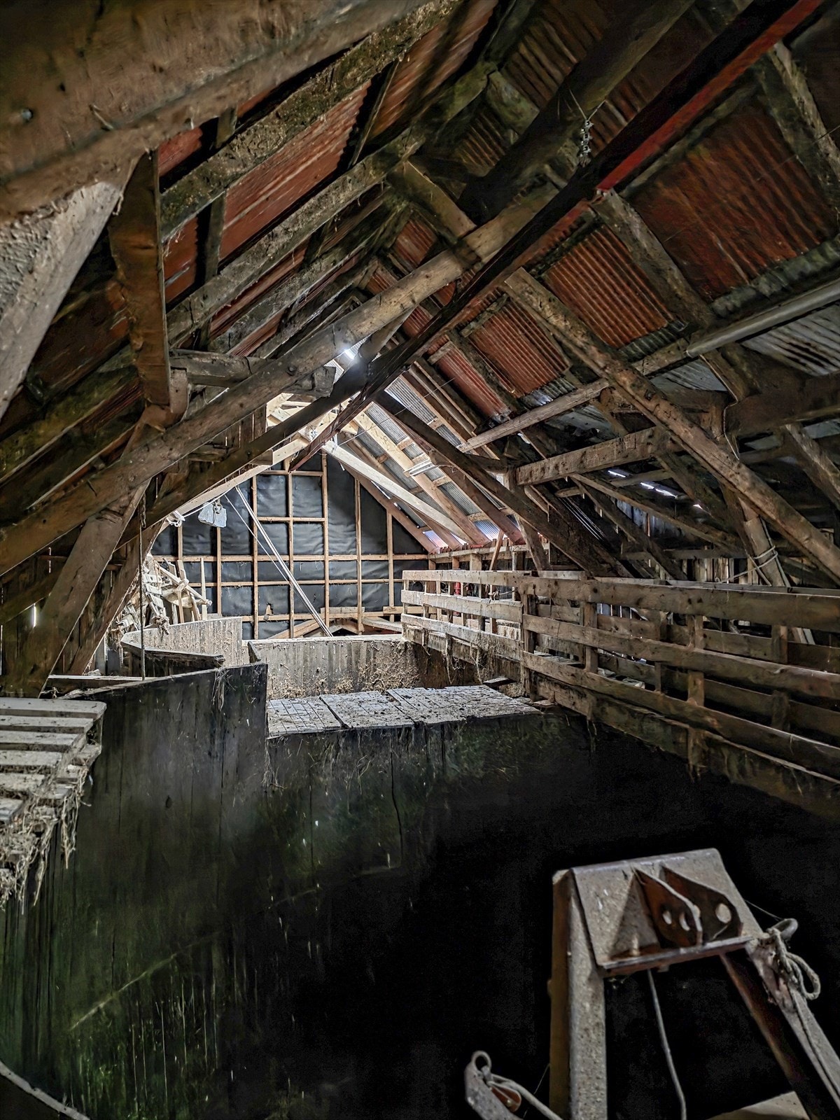 Høglåve Galleribilde