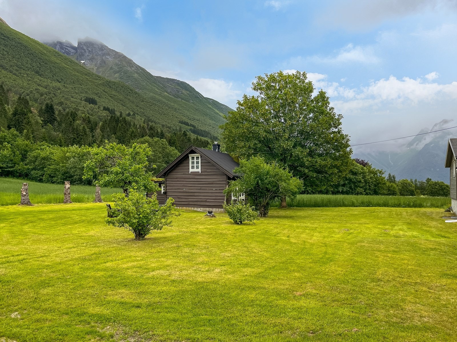 Bærbusker på eiendommen Galleribilde
