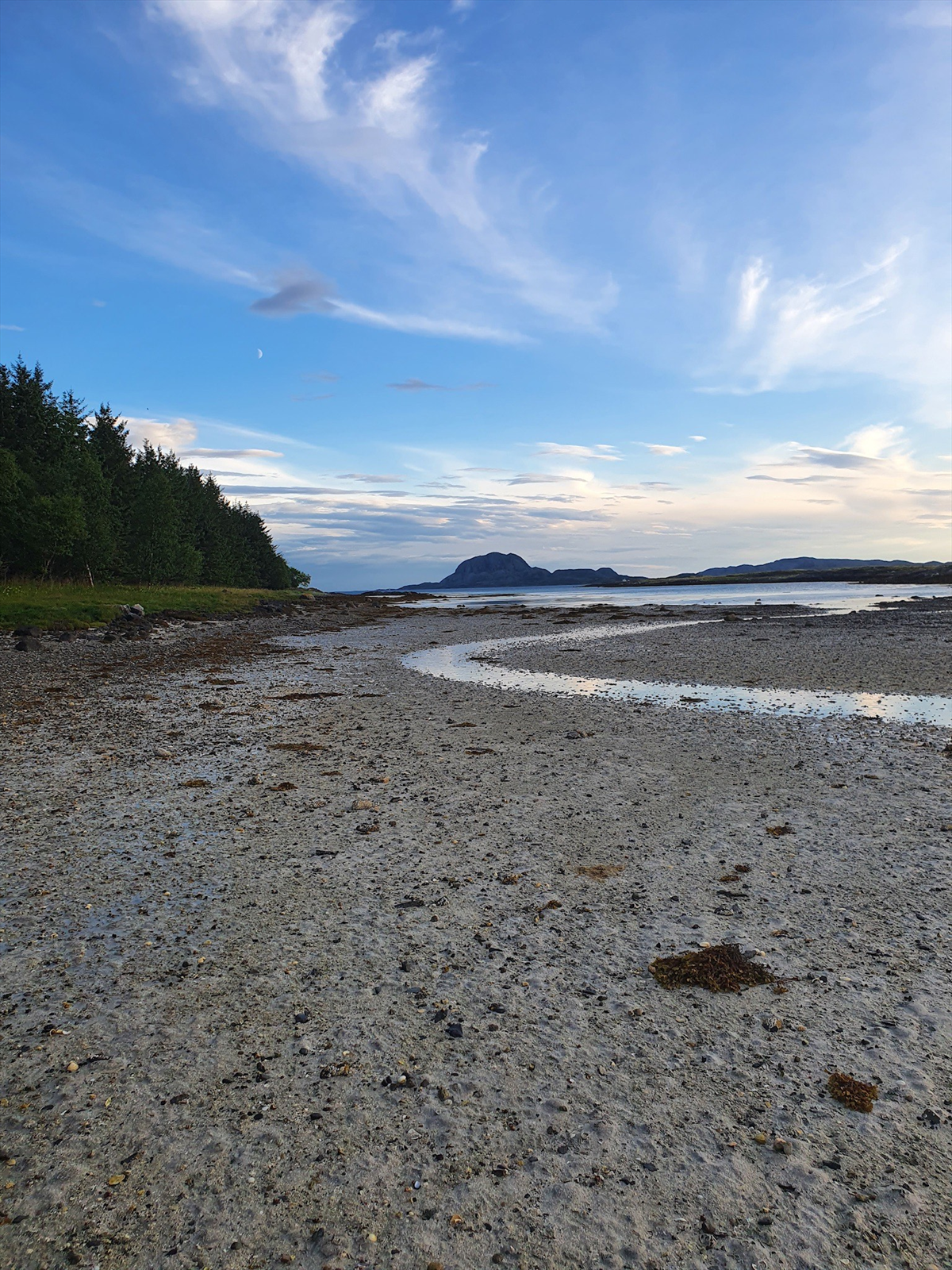 Bilde fra Sør-enden av øya med strand og utsikt til Torghatten. Galleribilde