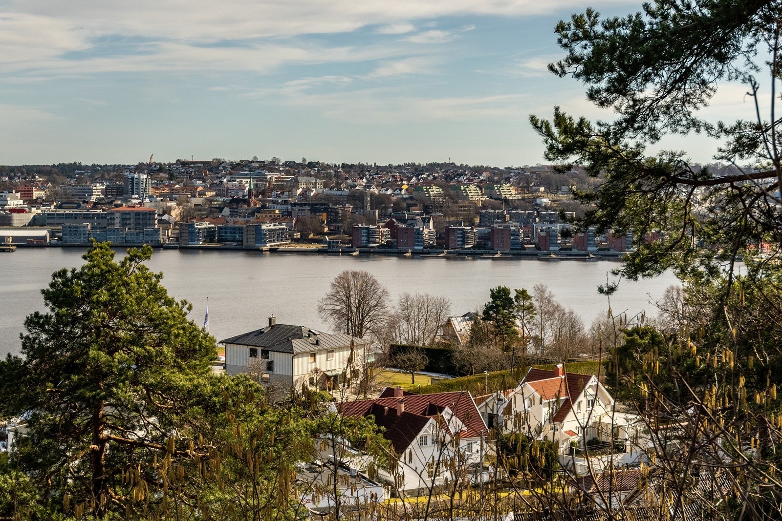 Bilde fra nærområdet Galleribilde