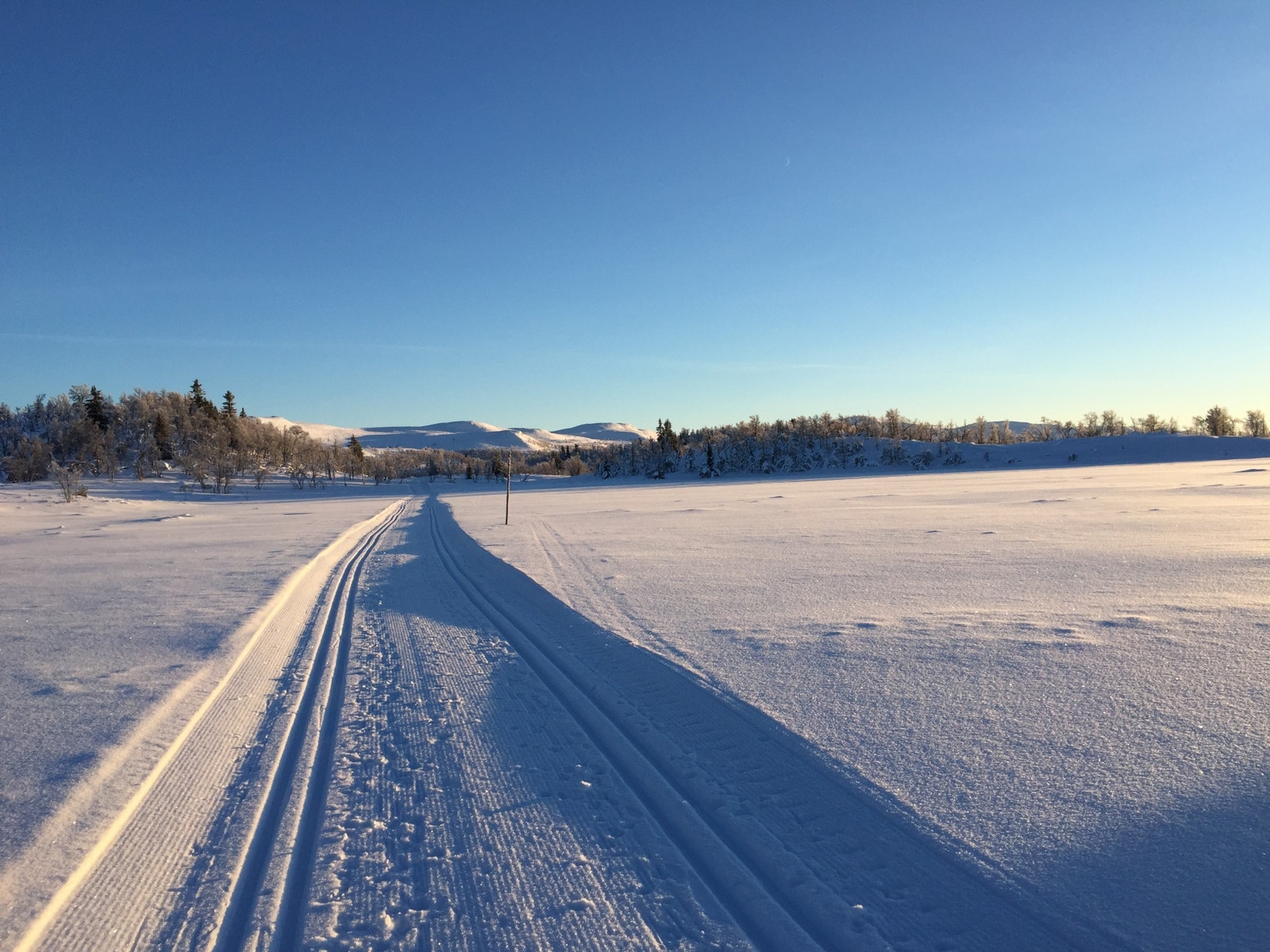 Næromgivelser Galleribilde
