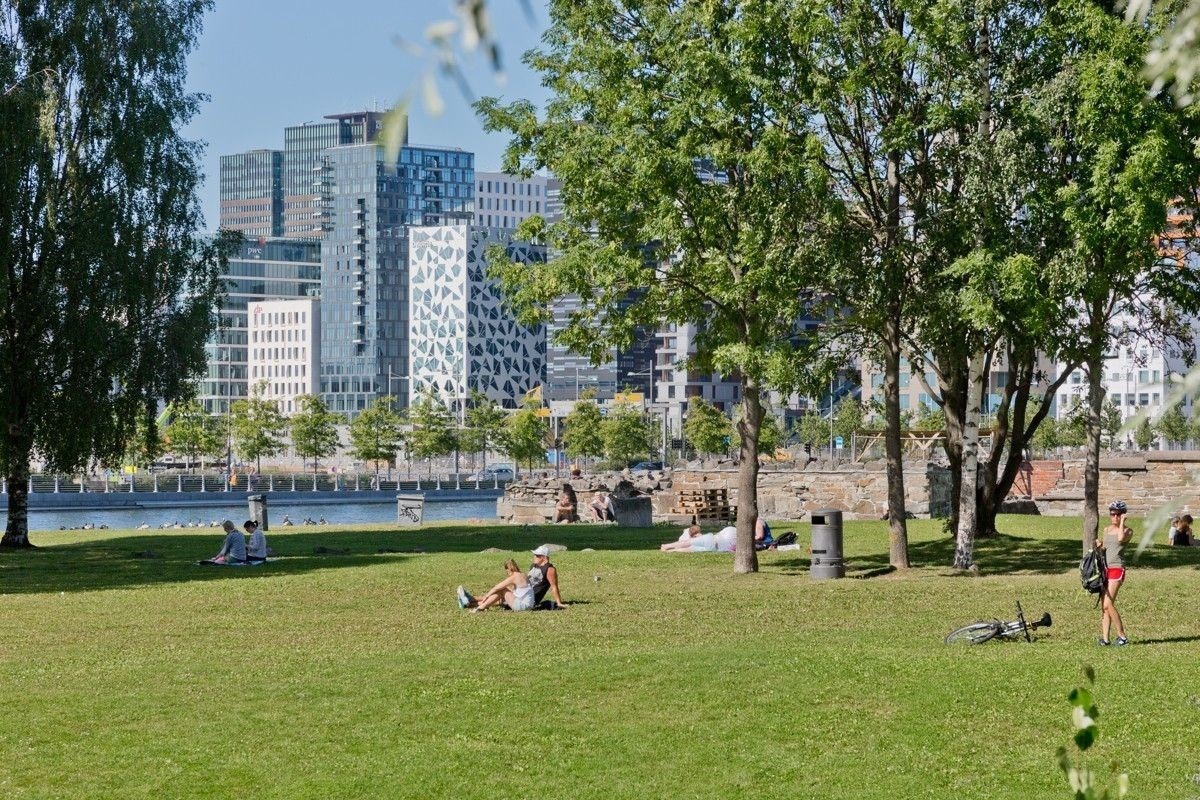 Dette er stedet hvor det gamle og historiske møter det nye og moderne. Ladegården, Bispegården og Ruinparken som representerer det historiske, mens Barcode, Bjørvika og Sørenga representerer det nye og moderne. Galleribilde