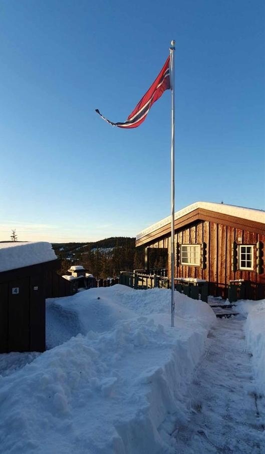 nersætervoll Galleribilde