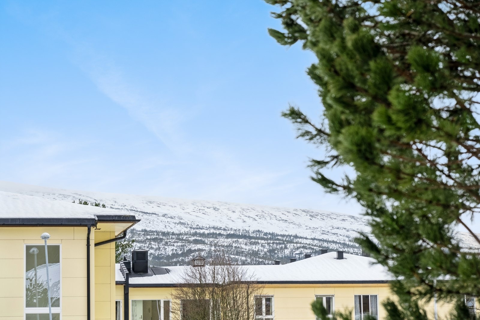 Utsikt mot Geitfjellet. Galleribilde