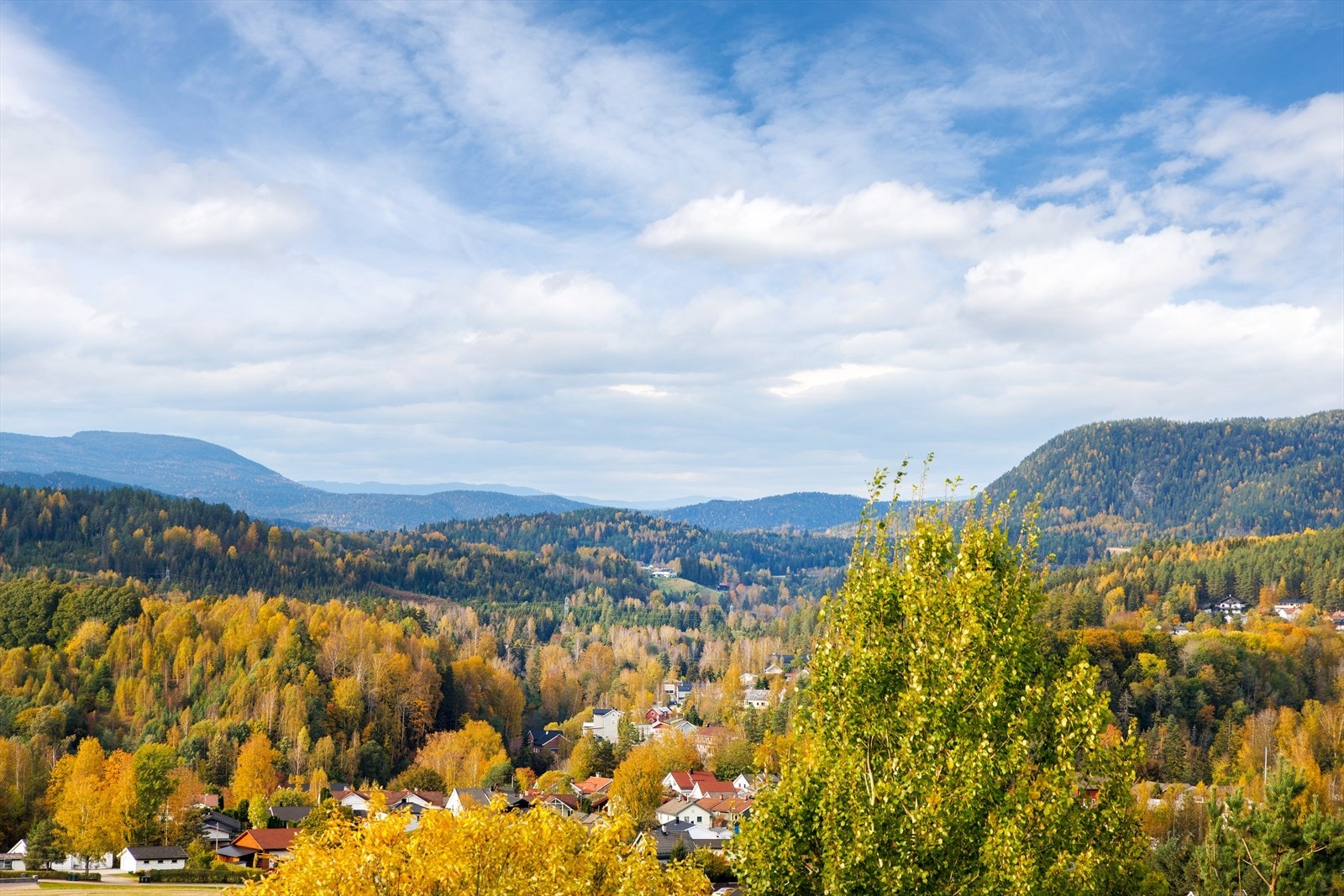 Velkommen til en hyggelig visning! Galleribilde