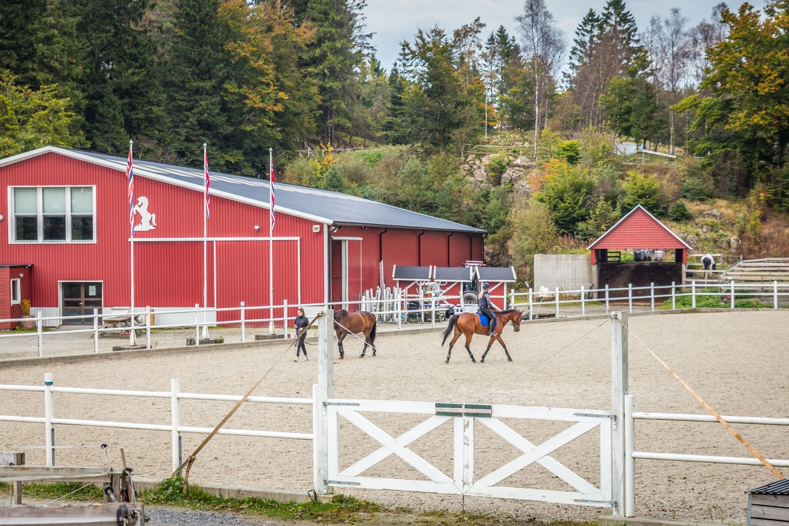 - Alvøen ridesenter ligger like ved, med moderne fasiliteter for hesteinteresserte - Galleribilde