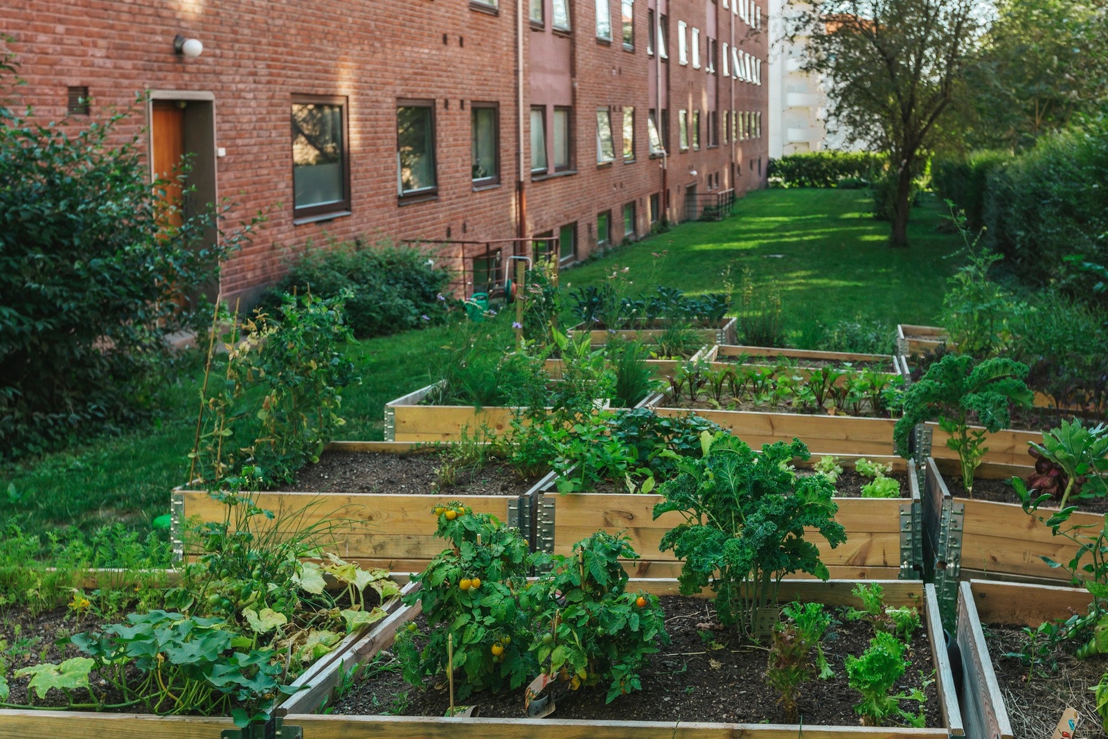 Det er i tillegg mulig å dyrke litt i bakgården, om du kunne tenke deg det. Galleribilde