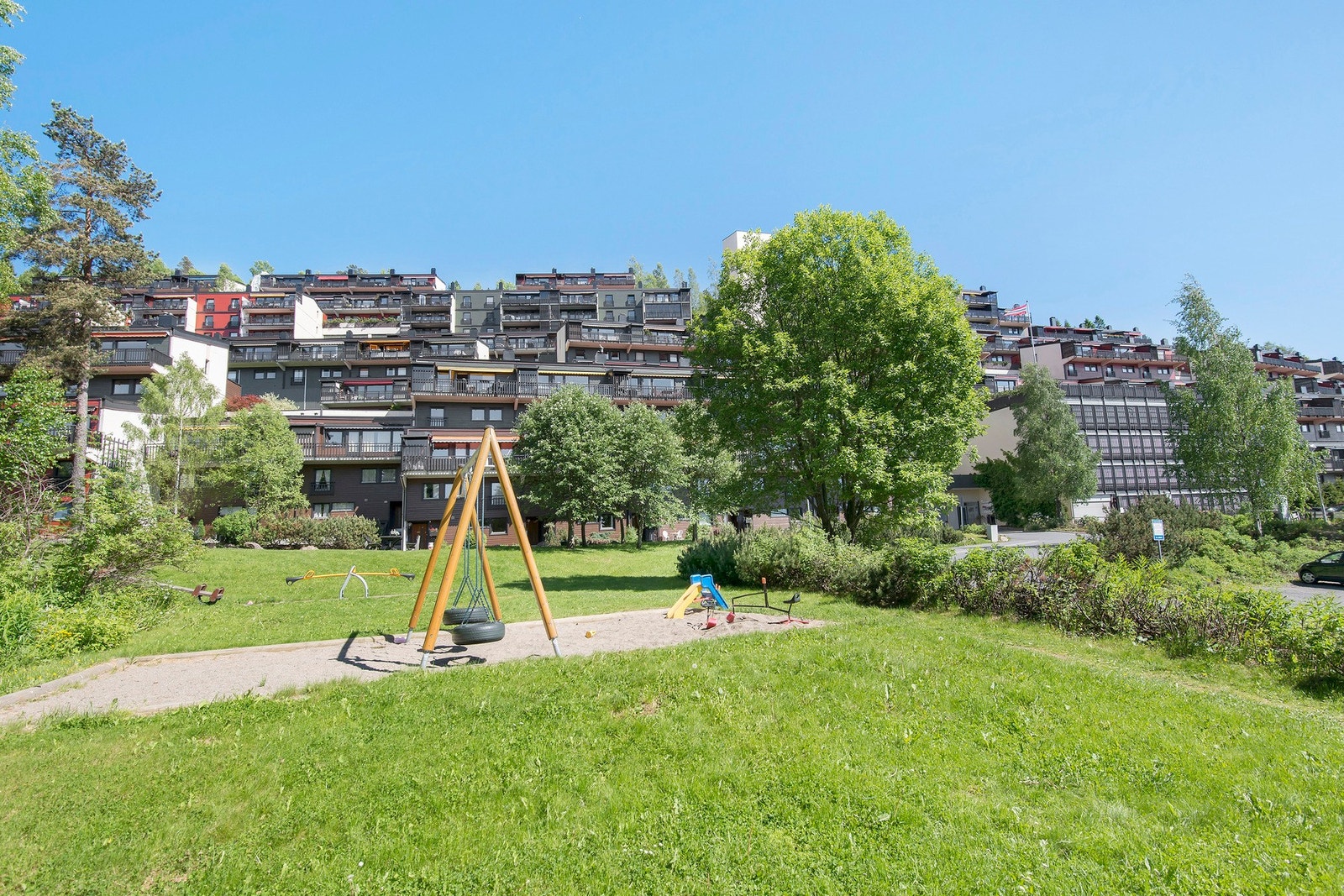 Skogen boligsameie i sommerhalvåret. Galleribilde