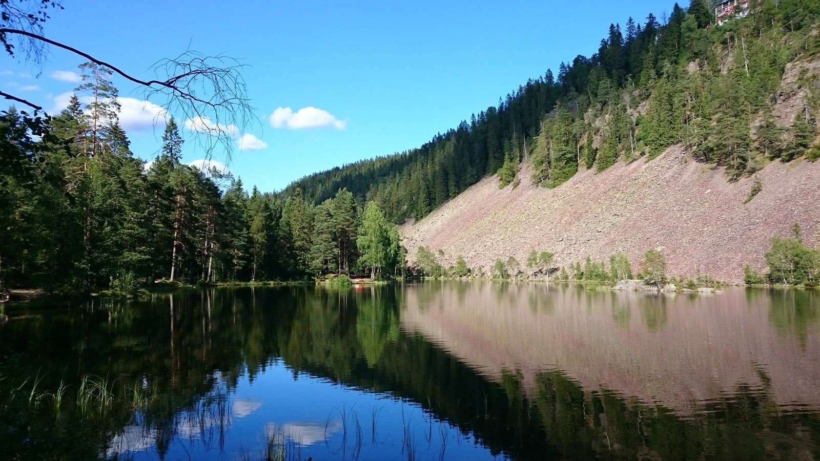 Strømsdammen badeplass Galleribilde