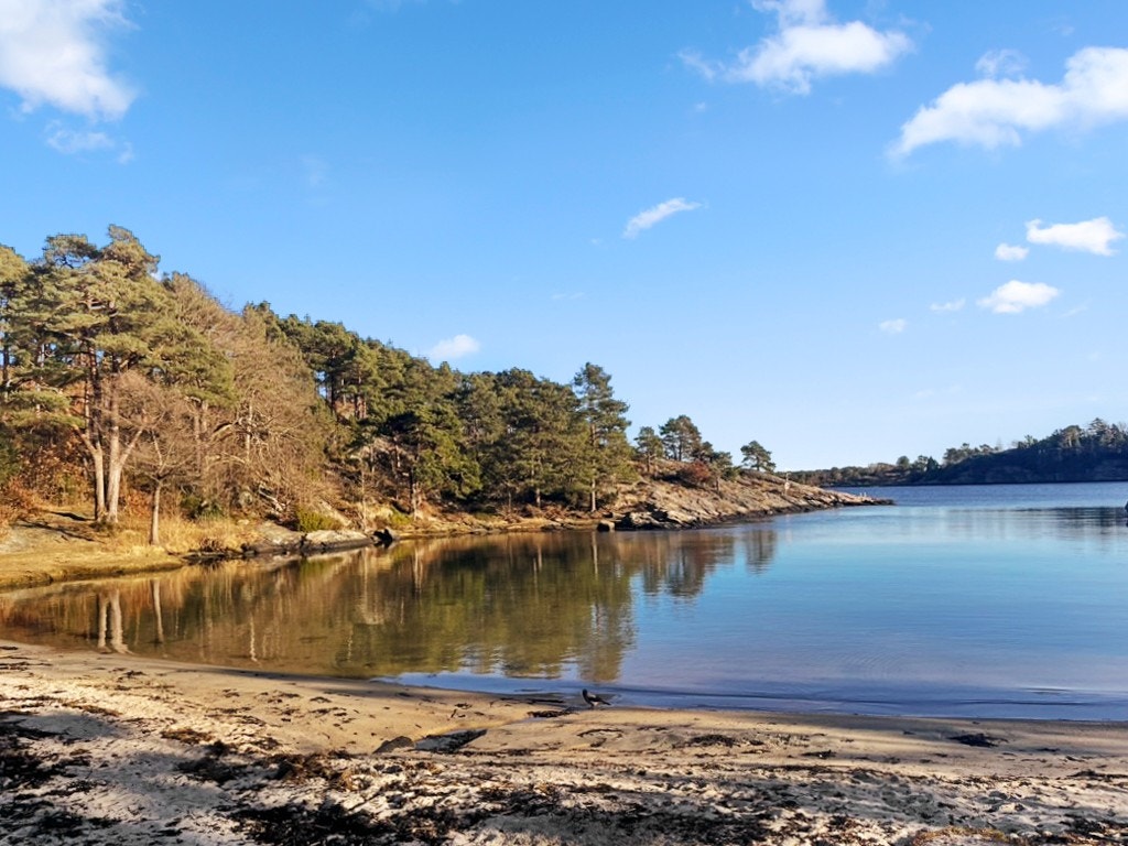 Idylliske Paradisbukta like ved! Galleribilde