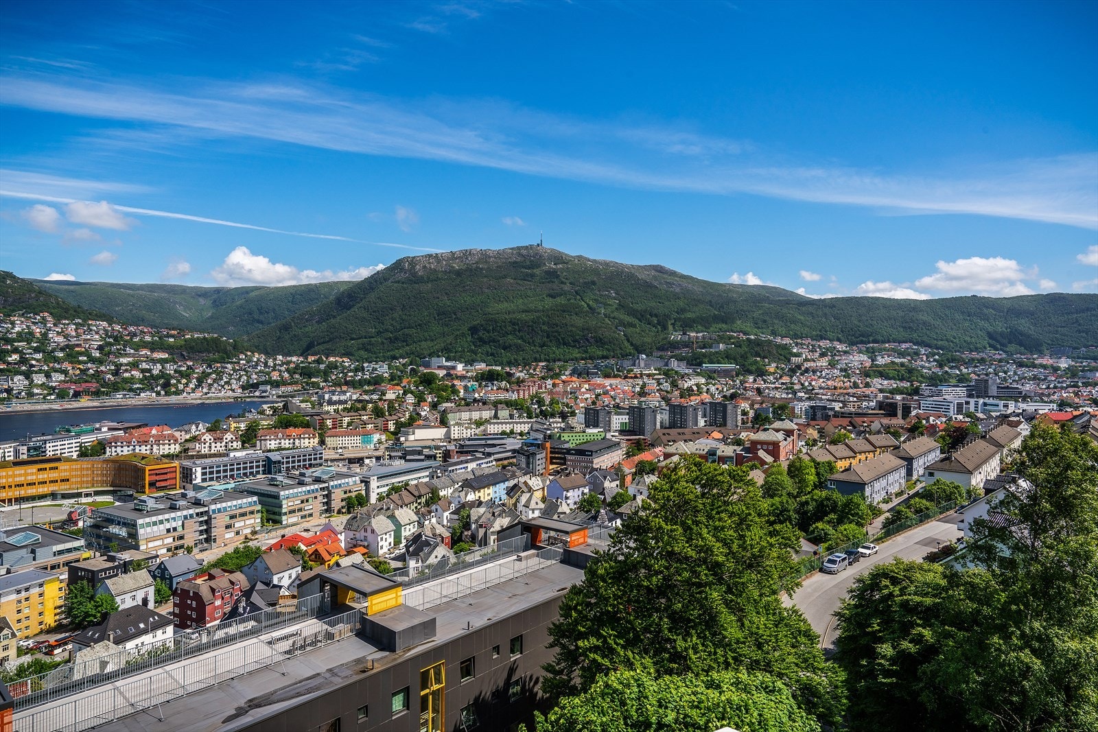 - Rett bak leiligheten kommer man til flotte turmuligheter i Løvstien eller opp til Løvstakken - Galleribilde