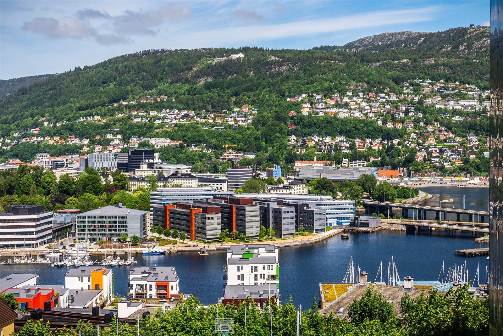 - Fantastisk utsikt! - Galleribilde