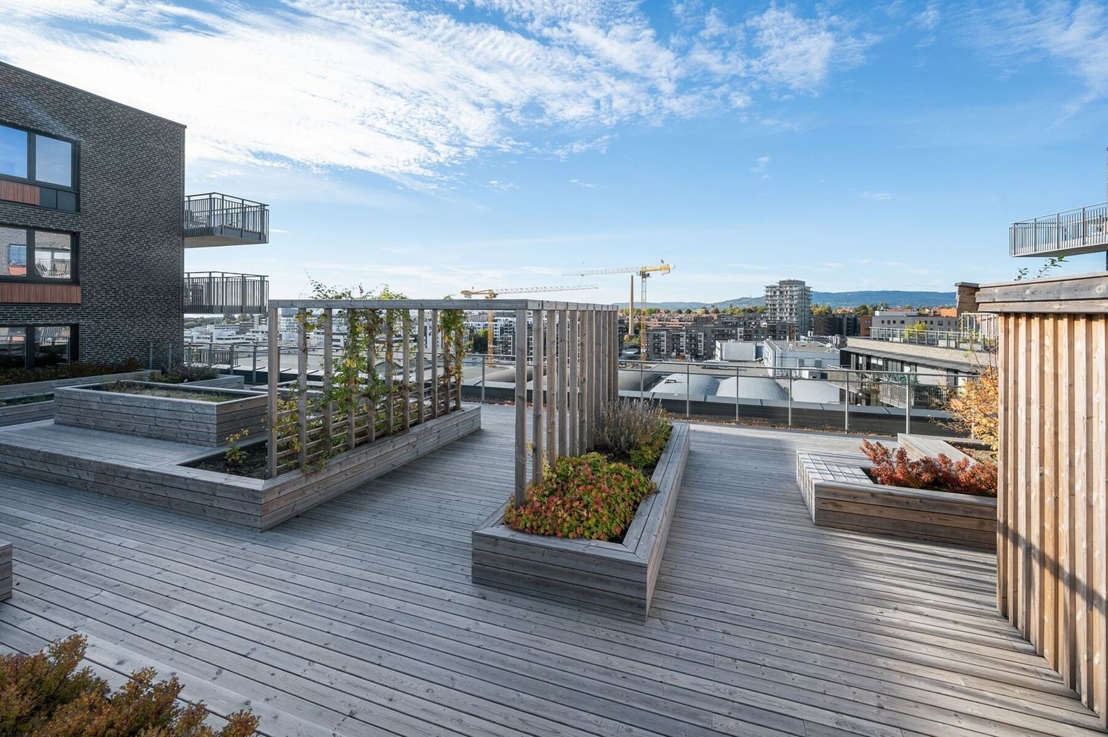 Lekker felles takterrasse med sittegrupper, beplantning og flott utsikt - et perfekt sted for sosiale sammenkomster eller rolig avslapning. Galleribilde