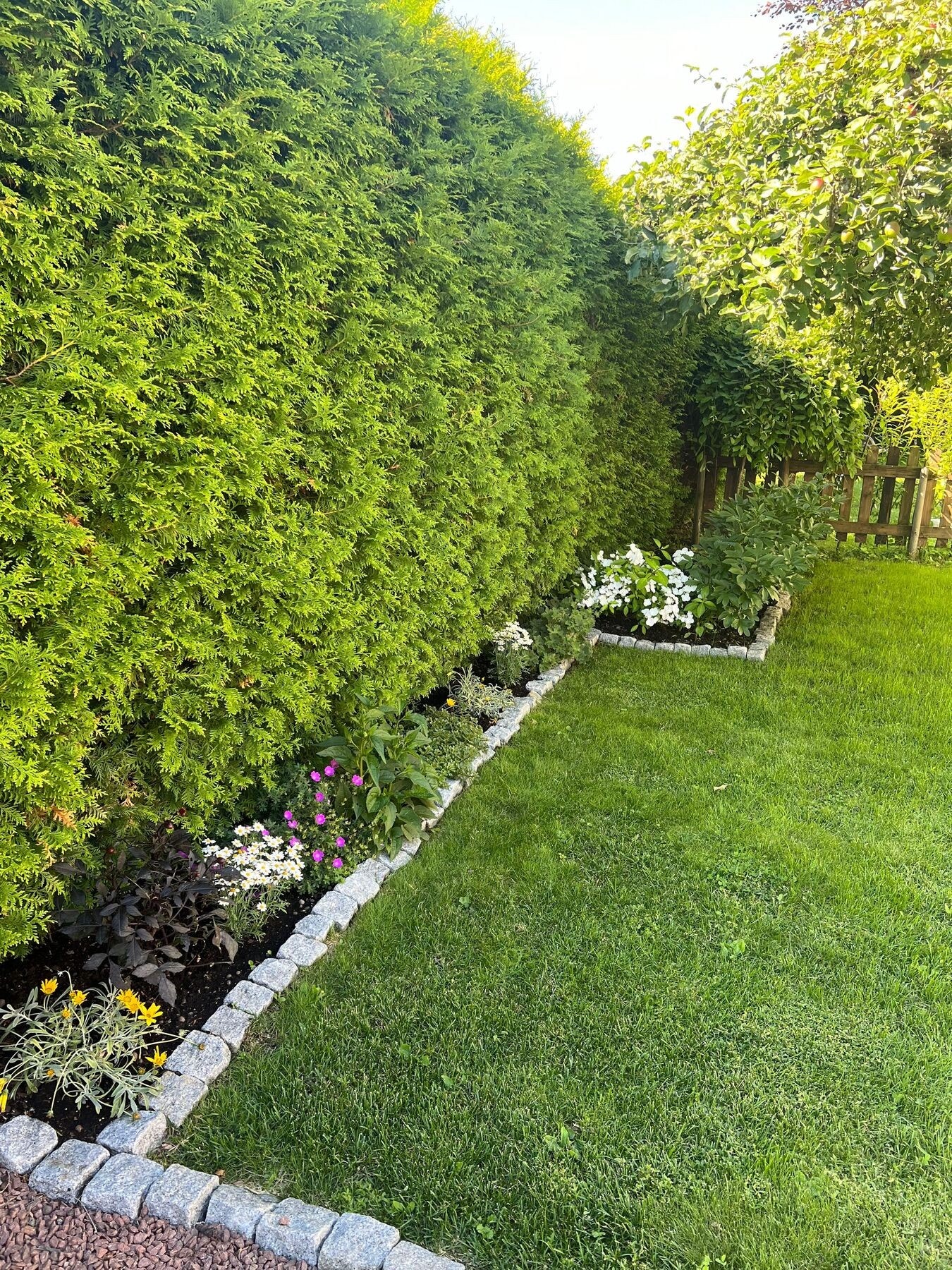 Hagen rammes fint inn av en hekk og et gjerde, og er pent opparbeidet med gressplen og et singlet gangareal. Galleribilde