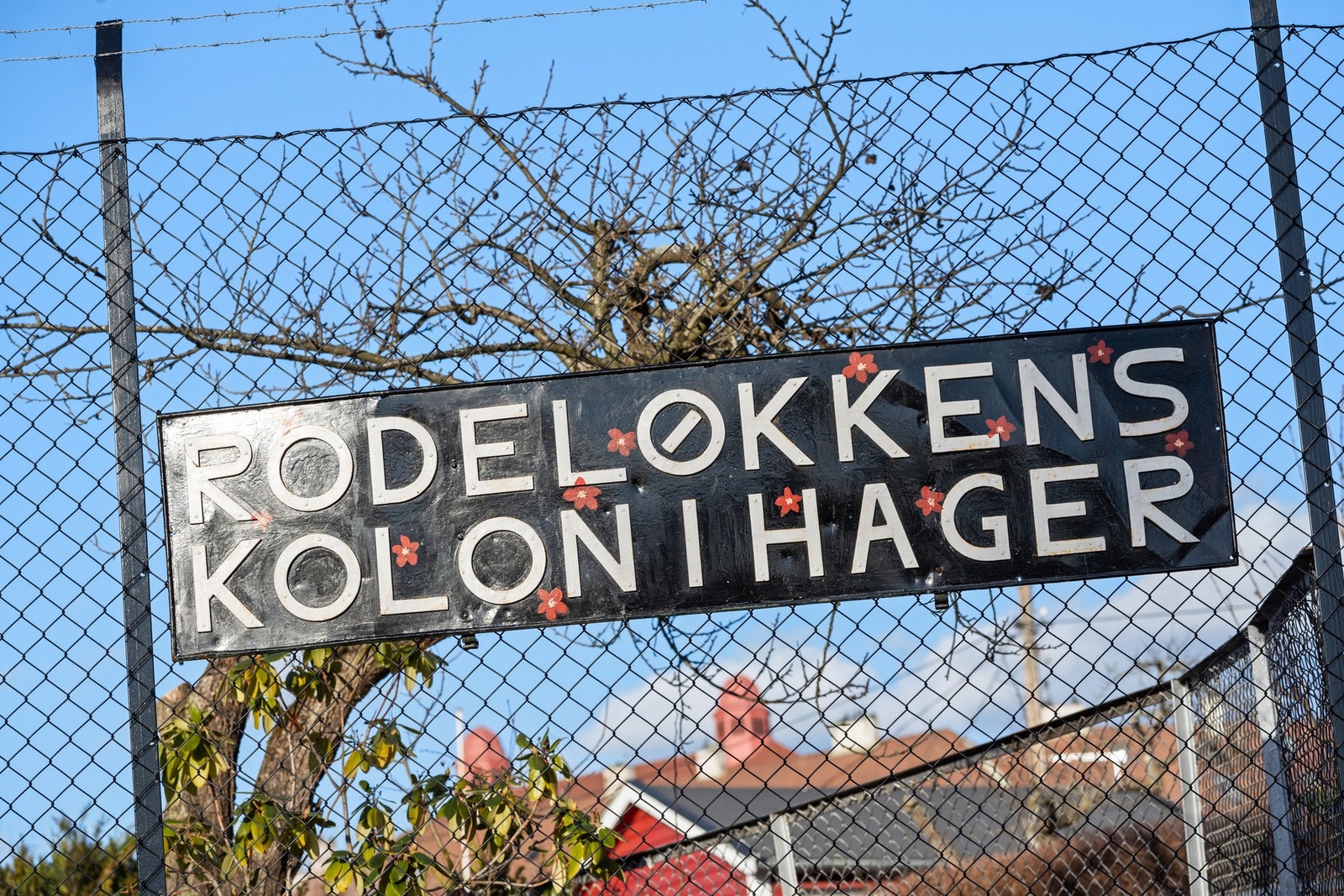 Som nærmeste nabo har sameiet Rodeløkkens kolonihage Galleribilde