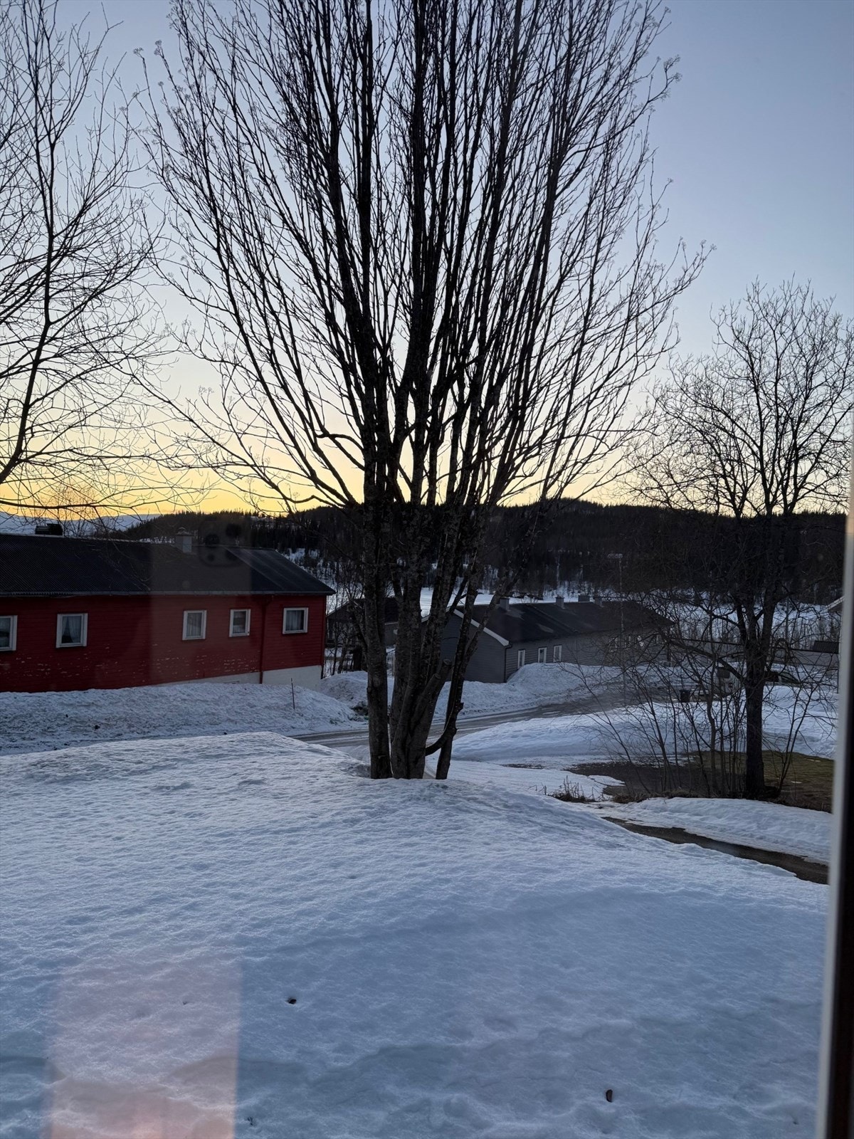 Utsikt fra stuevindu Galleribilde