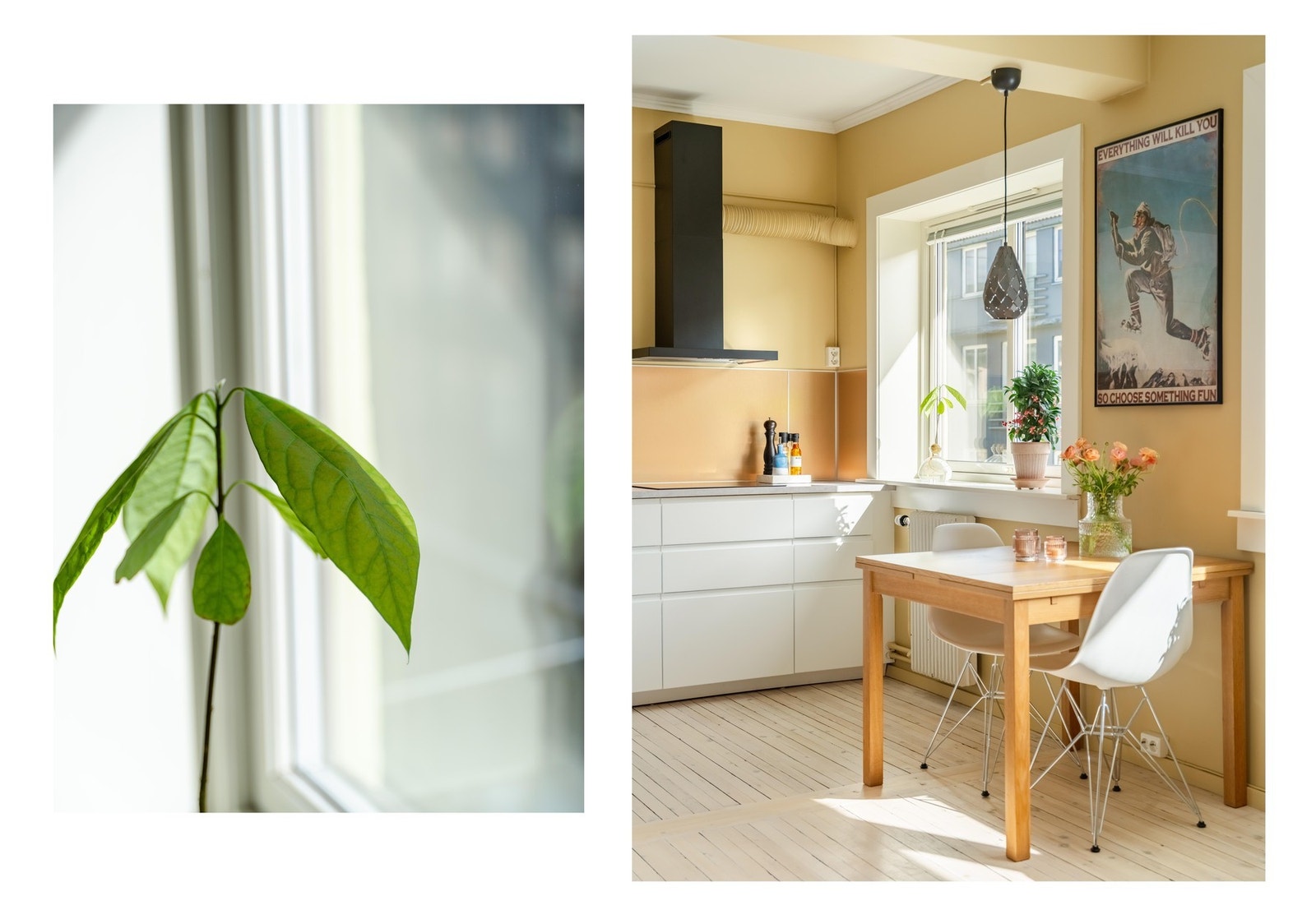 Spisebordet finner for øvrig sin naturlige plass ved kjøkkenet. Det er fine muligheter for langbord for større besøk. Galleribilde