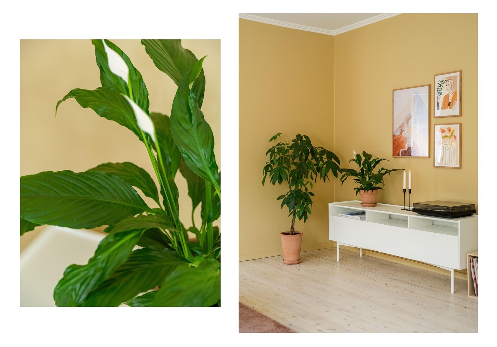 Det er verdt å nevne at både oppvarming, varmtvann, TV og internett er inkludert i månedlige felleskostnader. Galleribilde