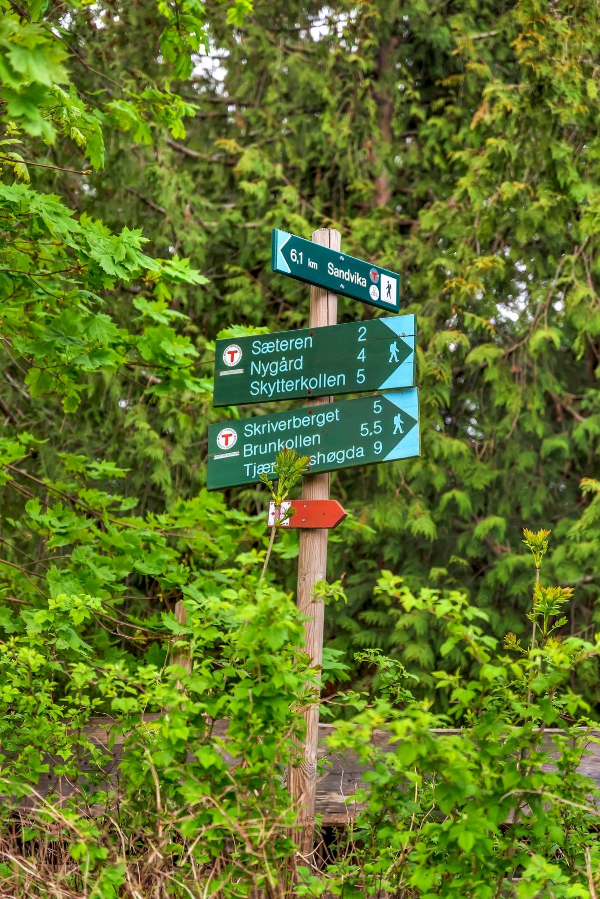 Du finner både lekeplass, skøytebane og akebakker i nærområdet, i tillegg til flotte skogsområde for både korte og lange turer. Her er det gode muligheter for lek og aktivitet og et yndet sted for manges løpetur. Galleribilde